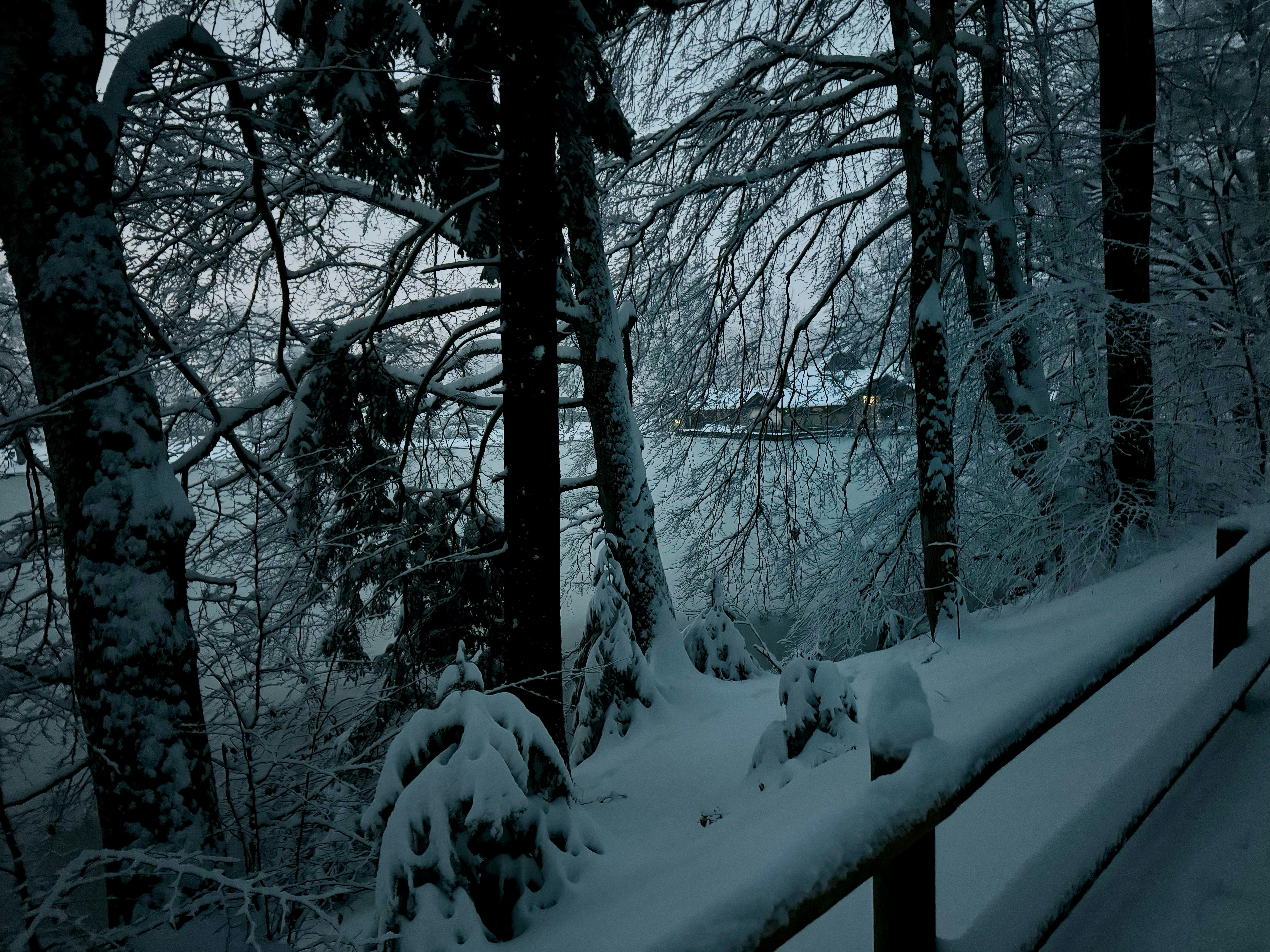 Photo by tenekephotos