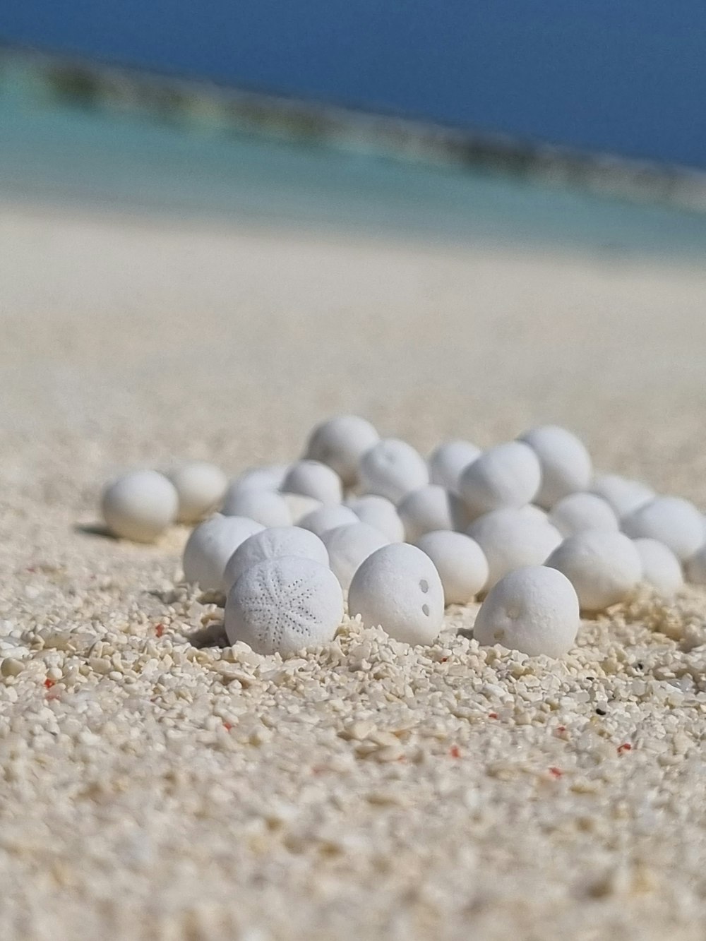 a bunch of white balls sitting in the sand