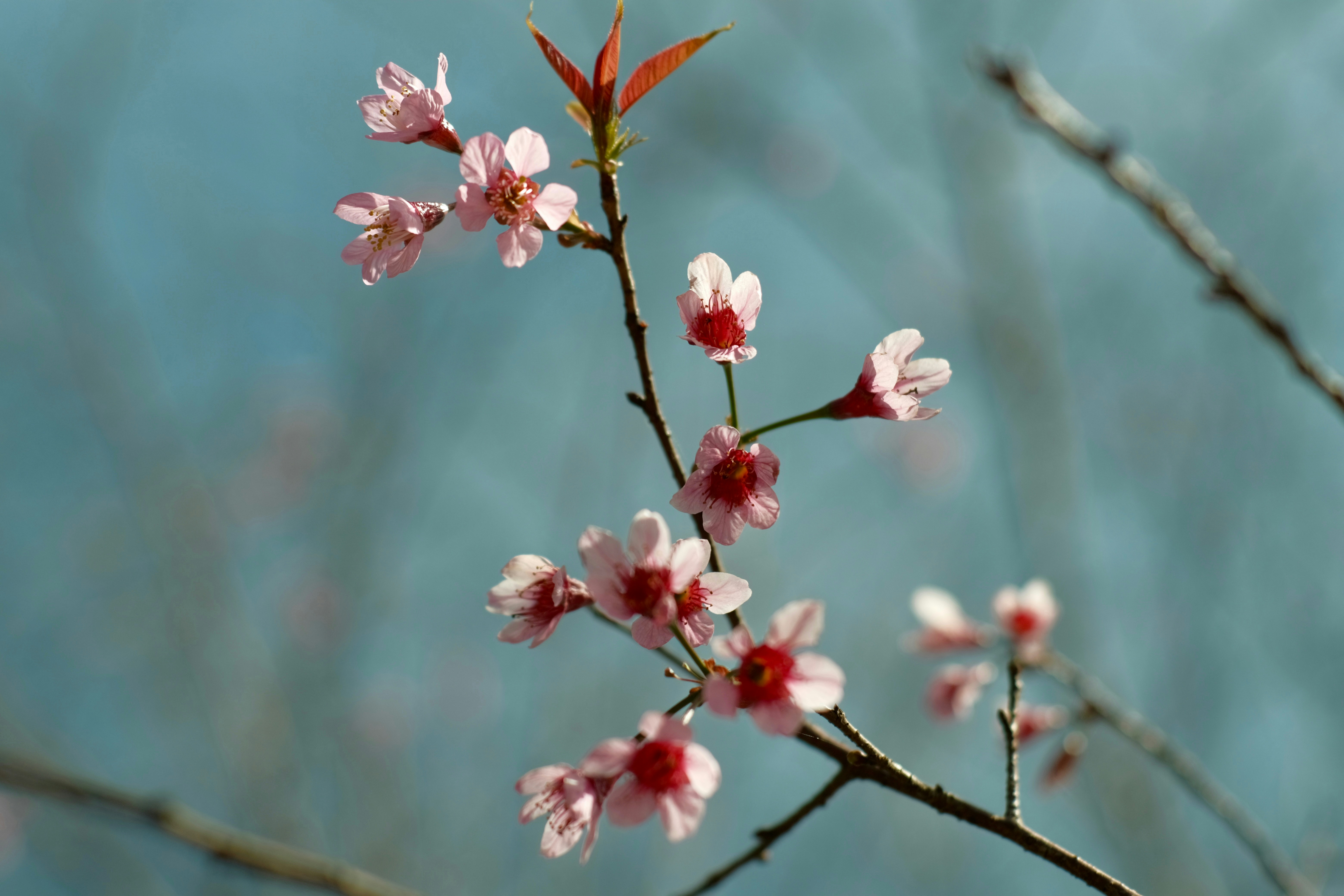 Photo by dvhoang2106