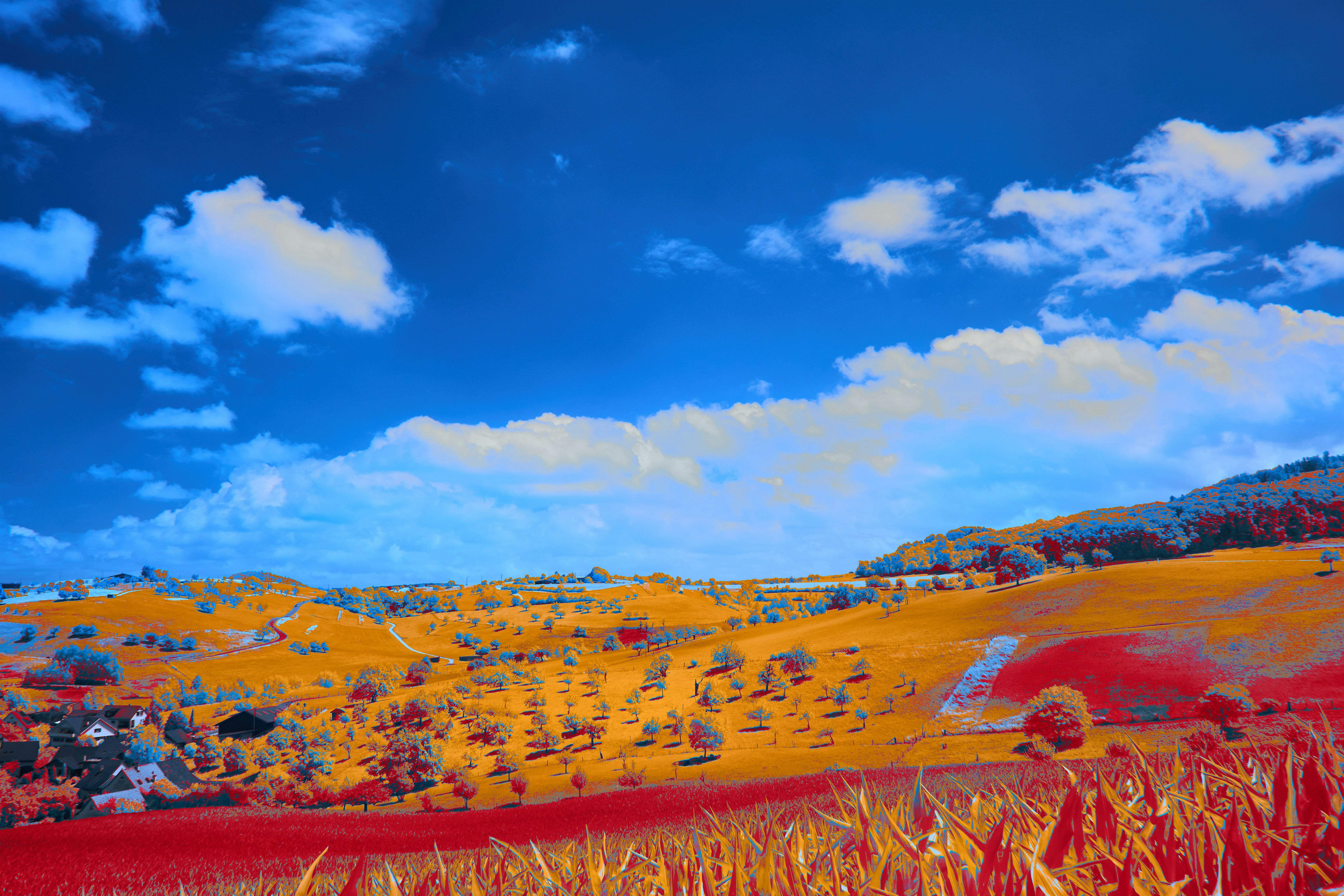 Photo by wolfgang_hasselmann