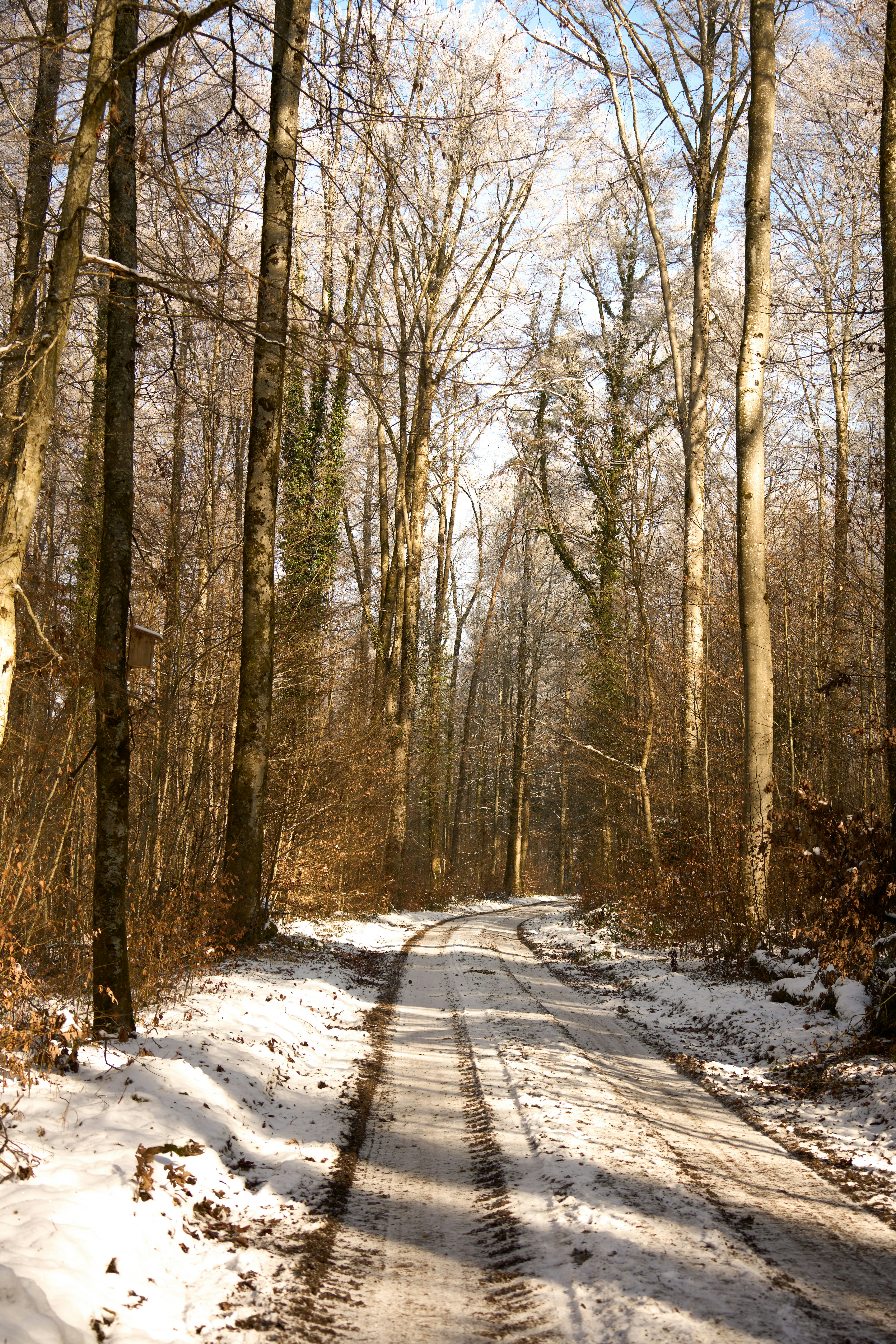 Photo by wolfgang_hasselmann