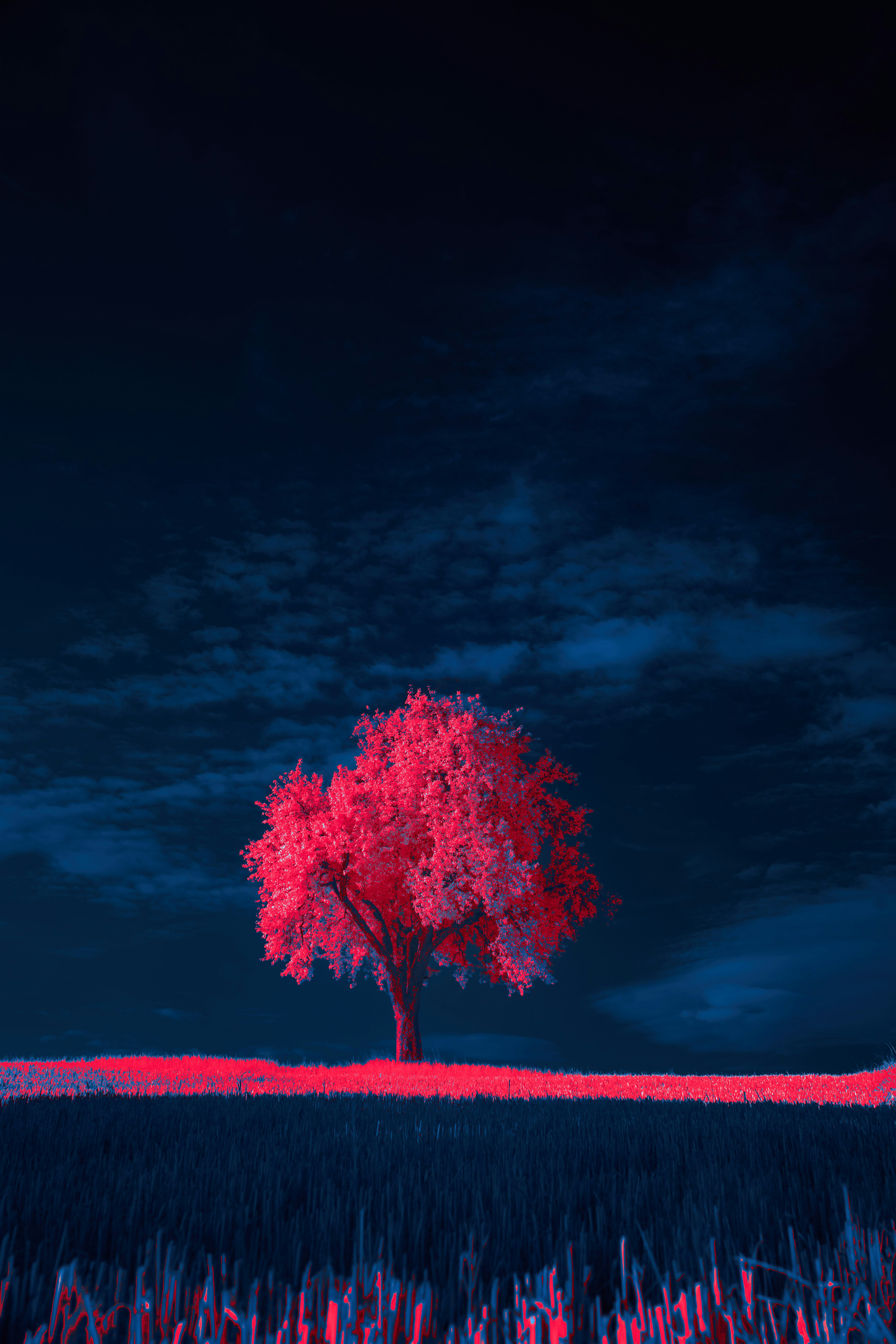 A lone tree stands alone in the middle of a field photo Free Infrarot