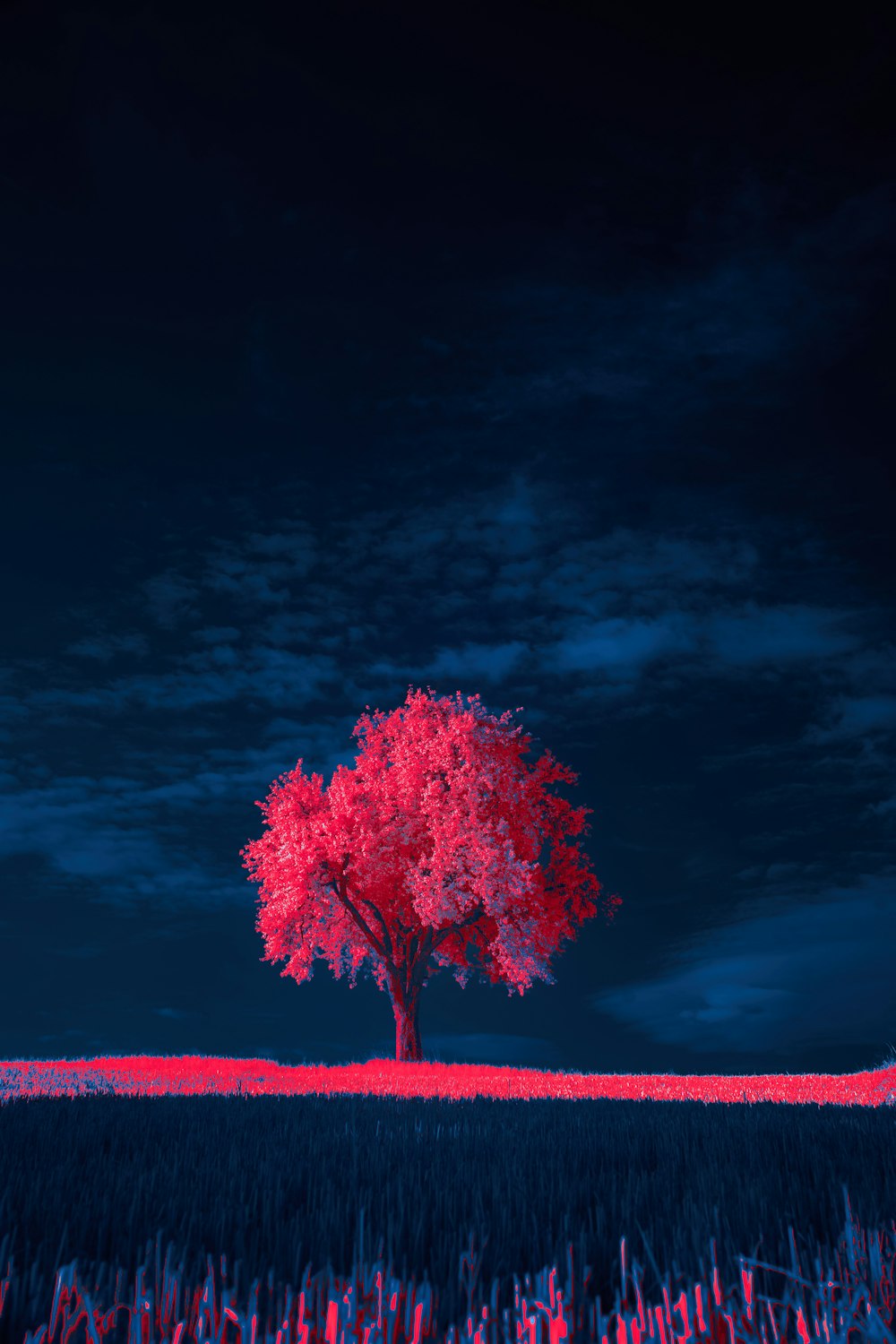 a lone tree stands alone in the middle of a field