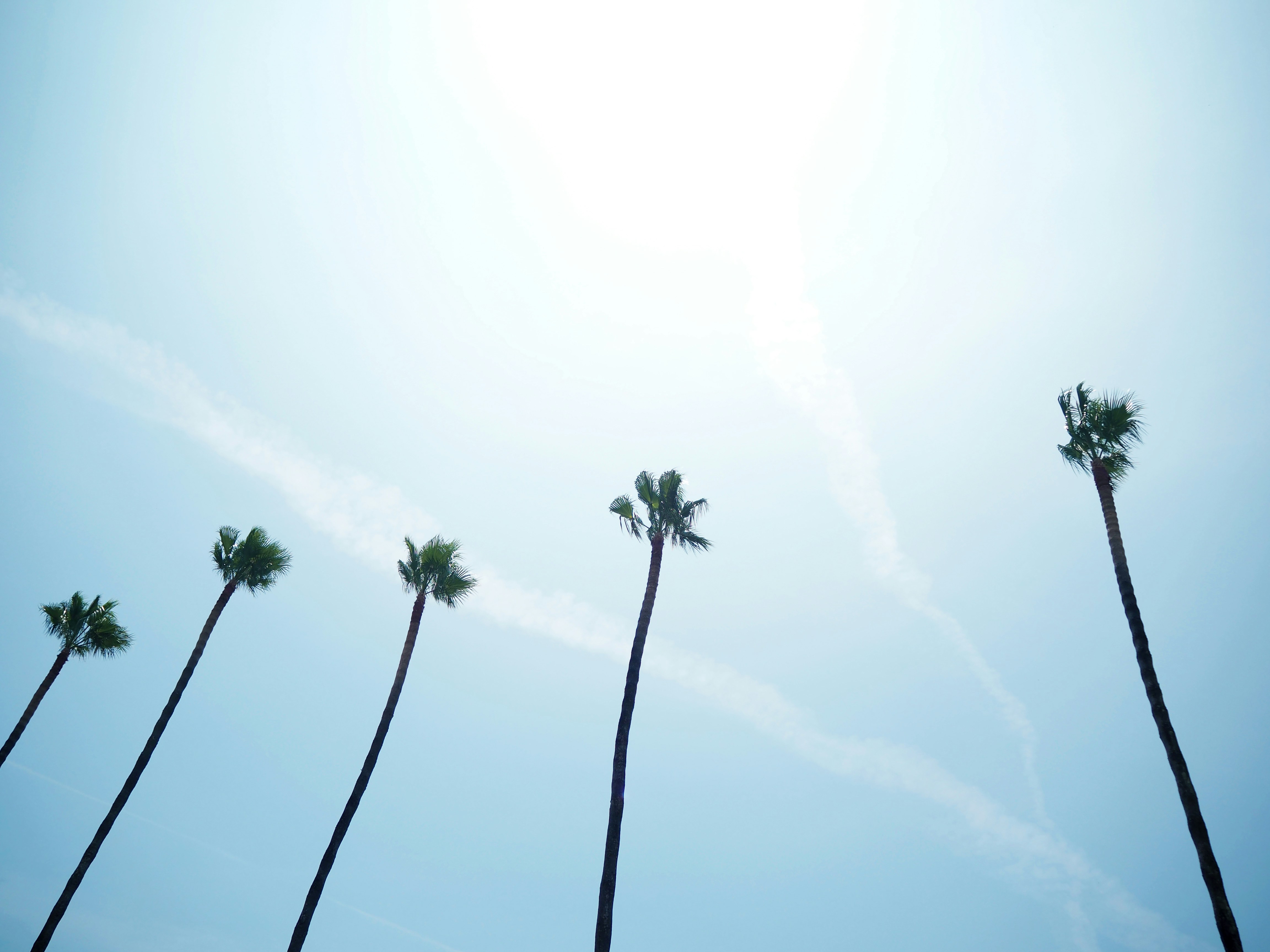 Summer Camp in Mijas: Montessori Guide (Guide for Families)