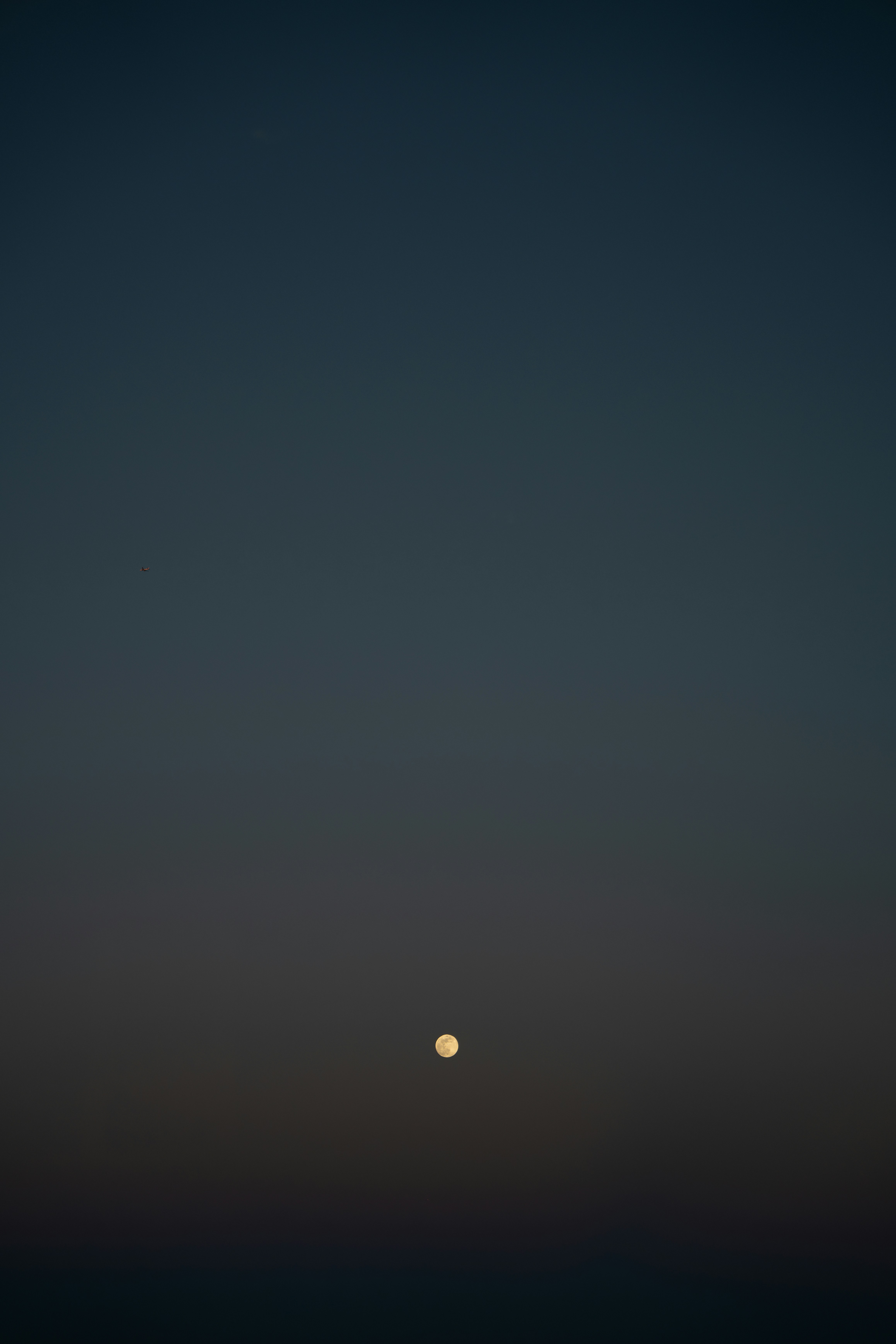 Photo by taro_ohtani