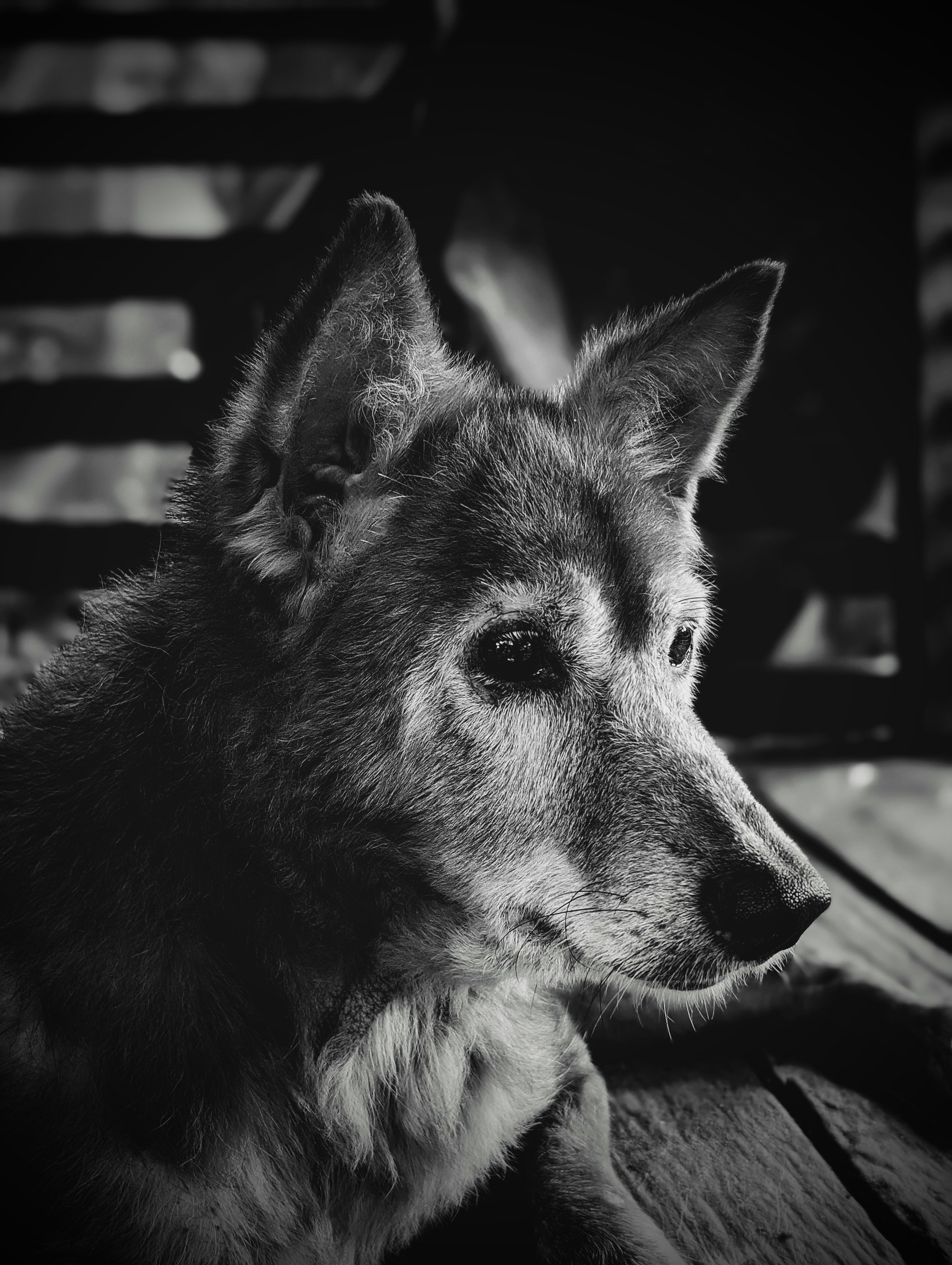 Photo by maddumageroshan