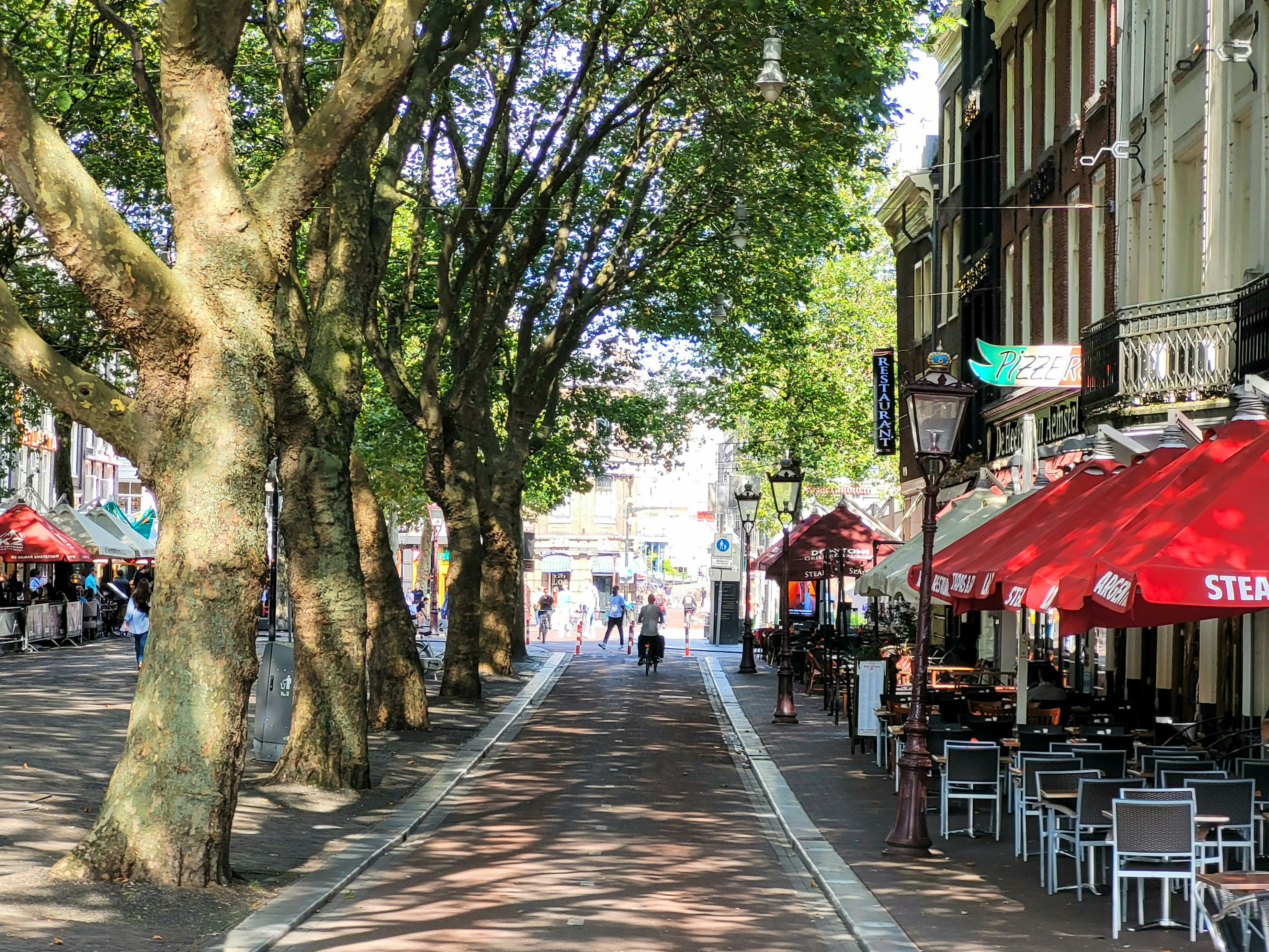 Photo by felipe_lamana