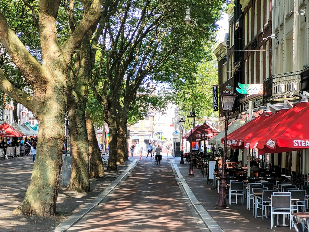 a street lined with tables and chairs next to tall trees