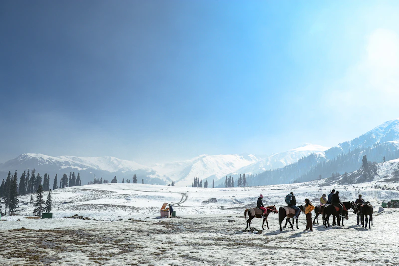 Top Tourist Places in Gulmarg: What's Actually Worth Your Time