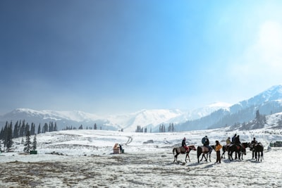 Kashmir Snow