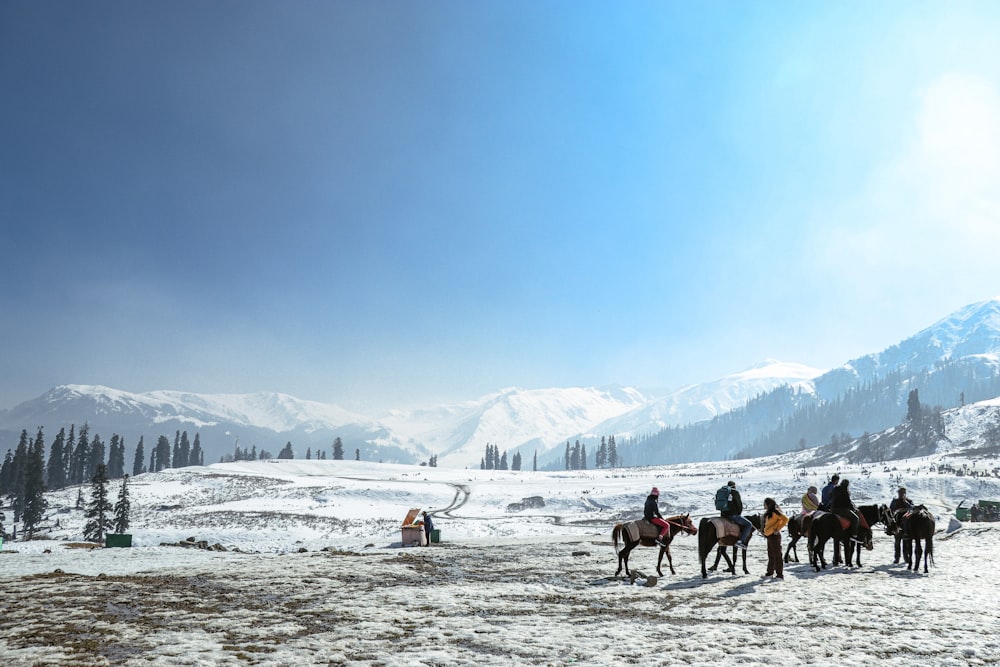 a group of people riding horses in the snow