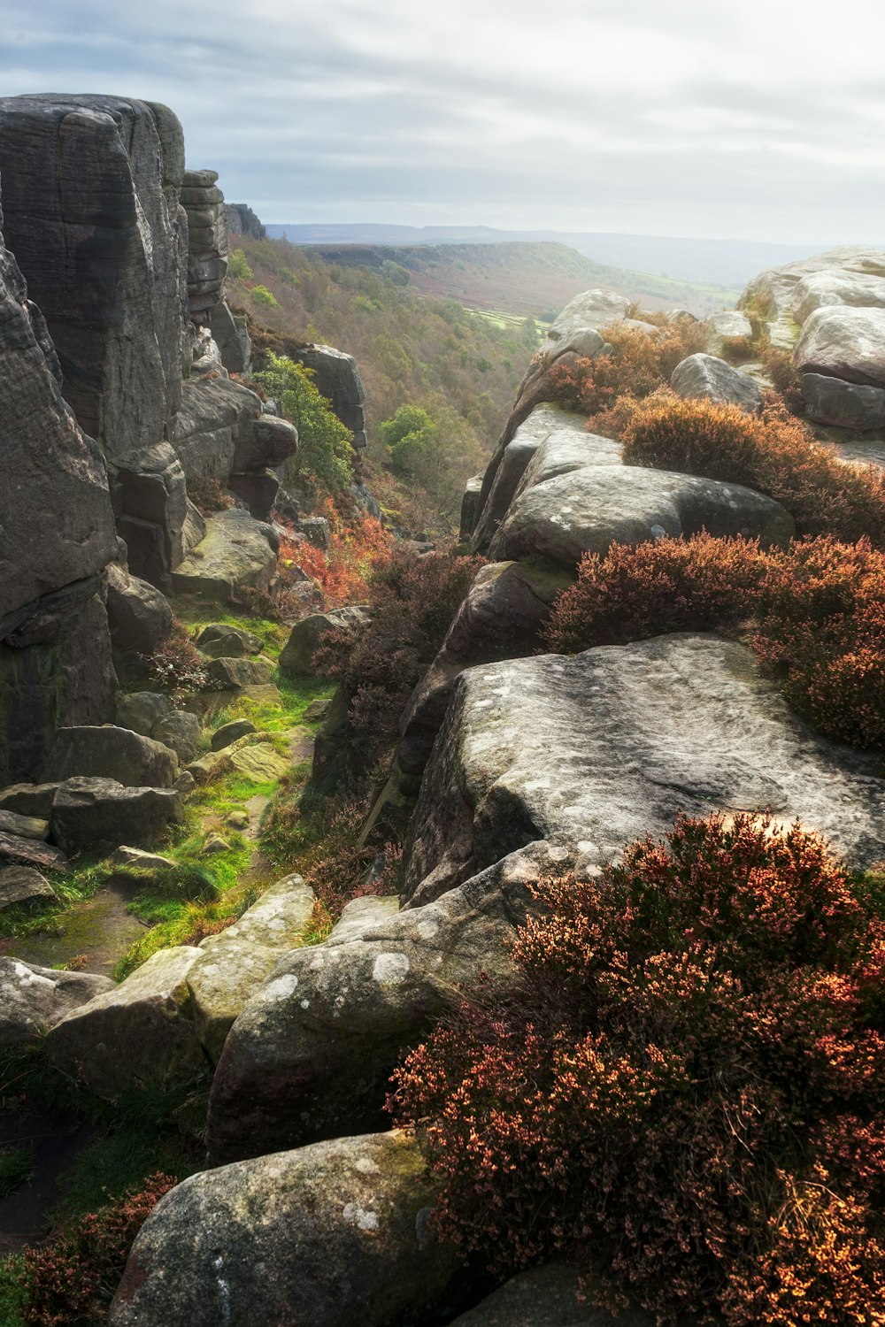 a view of a rocky outcropping with grass and rocks