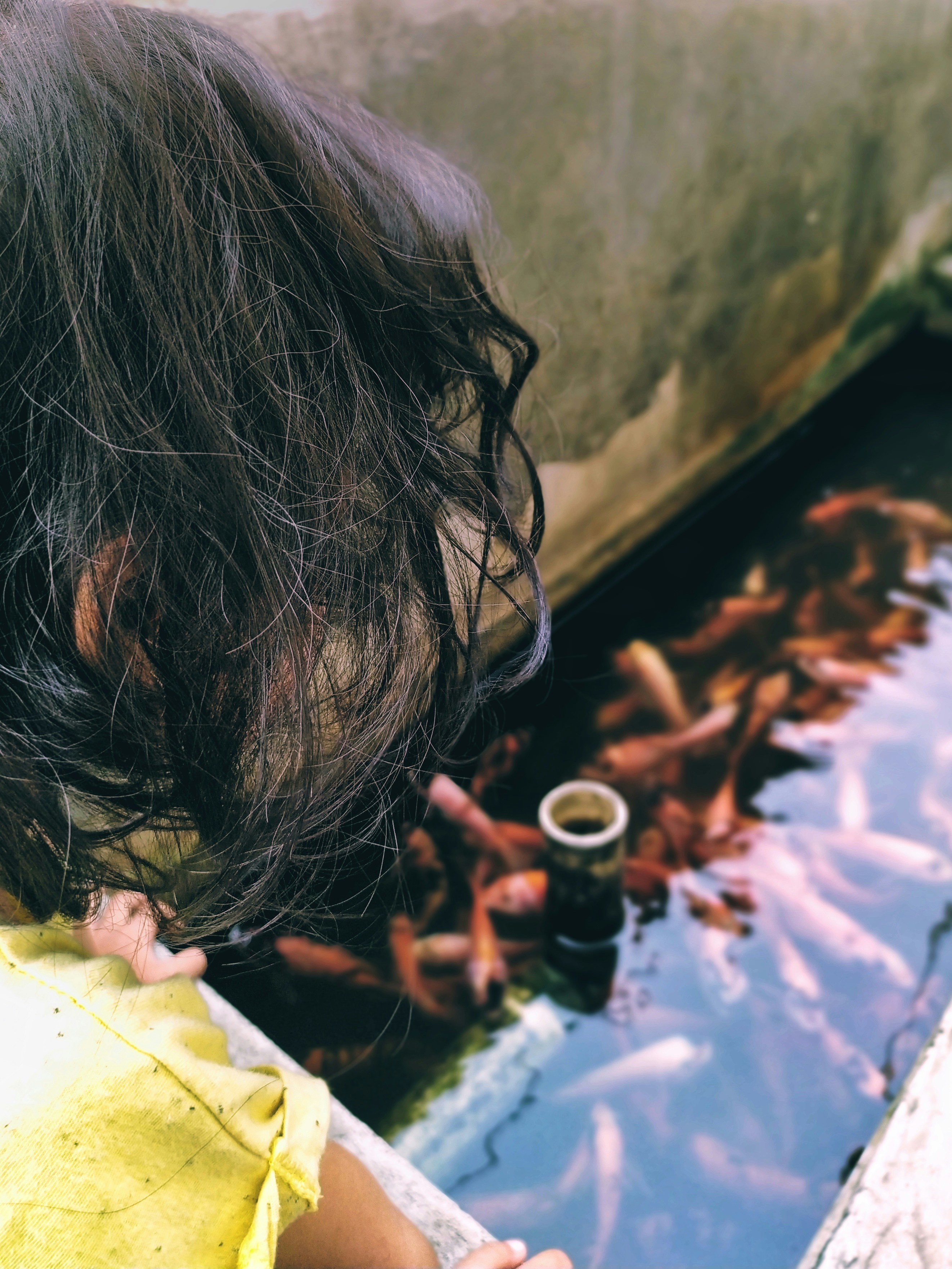 une petite fille regardant des poissons dans un étang