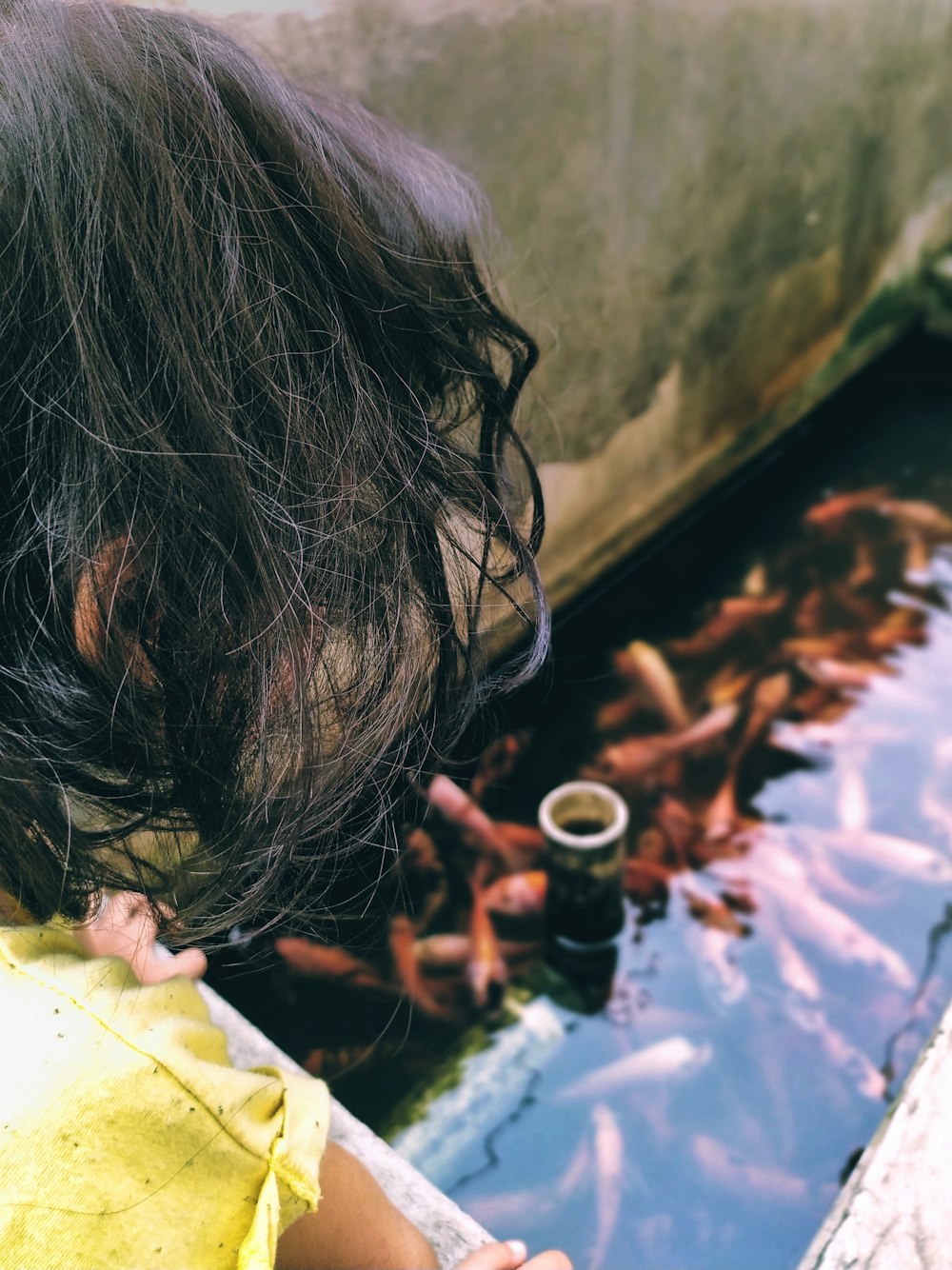 a little girl looking at fish in a pond