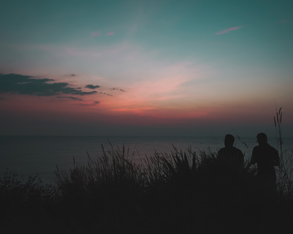 a couple of people that are standing in the grass