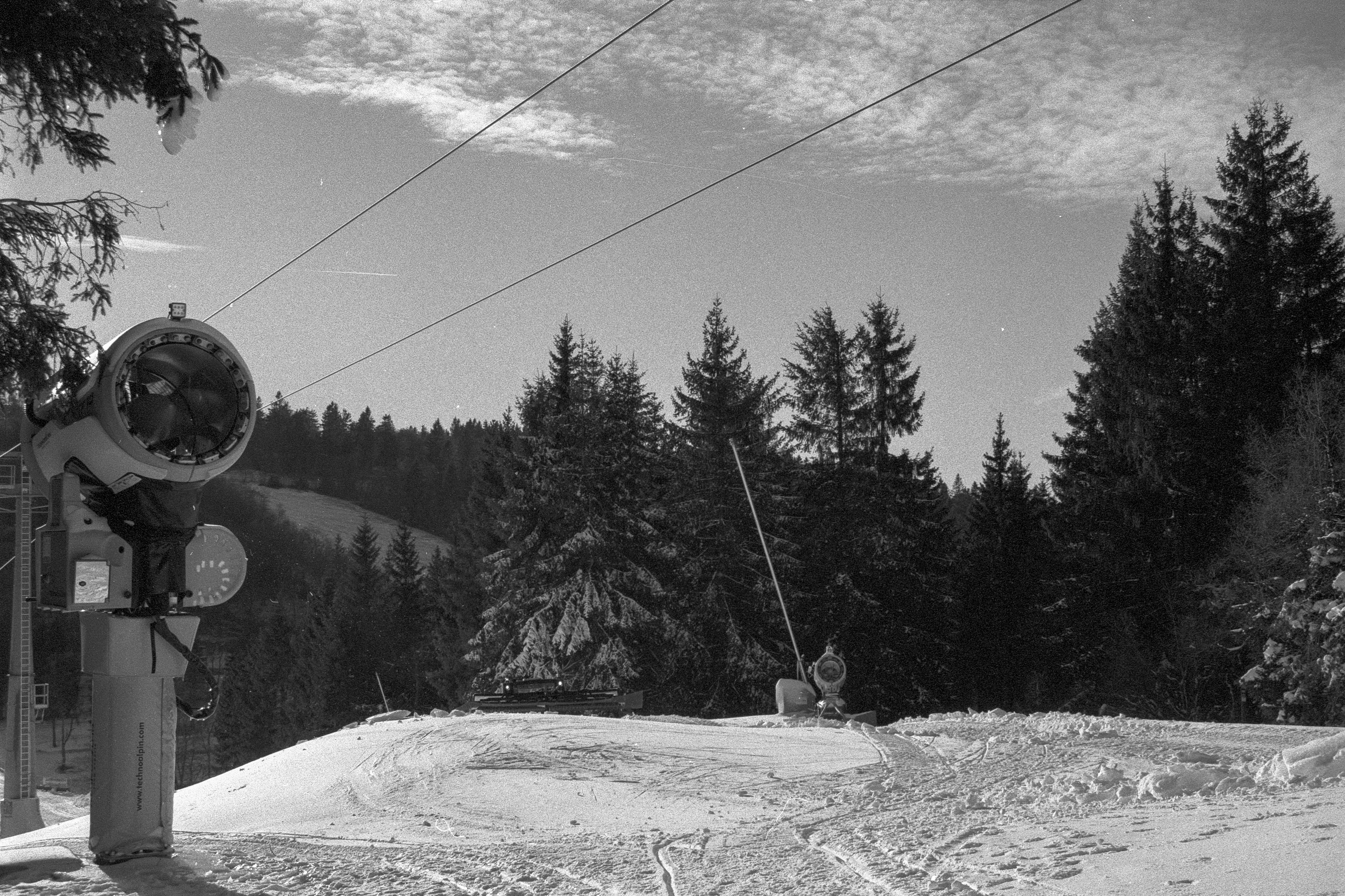 eine Person auf einer Skipiste mit Bäumen im Hintergrund