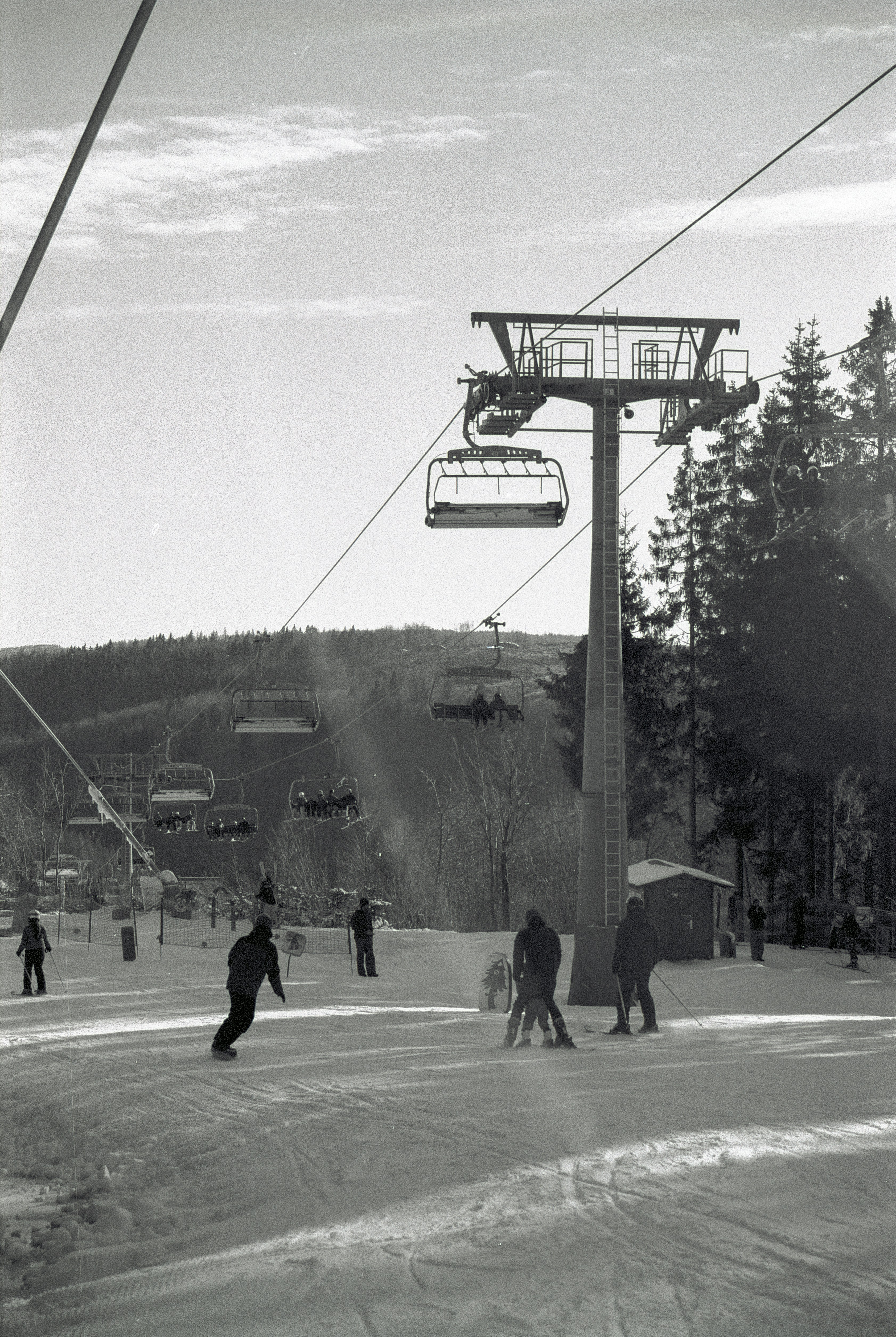 Eine Gruppe von Menschen, die mit Skiern einen schneebedeckten Hang hinunterfahren