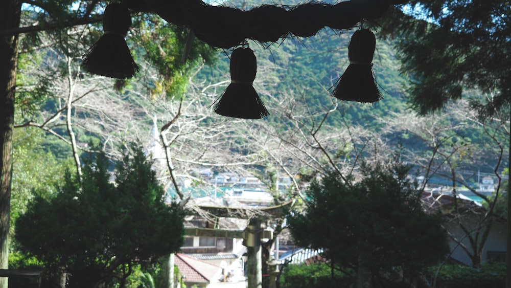 a group of bells hanging from a tree