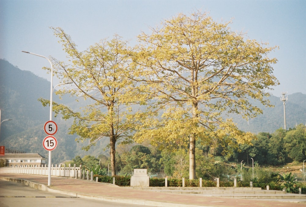 a street with a few trees on the side of it