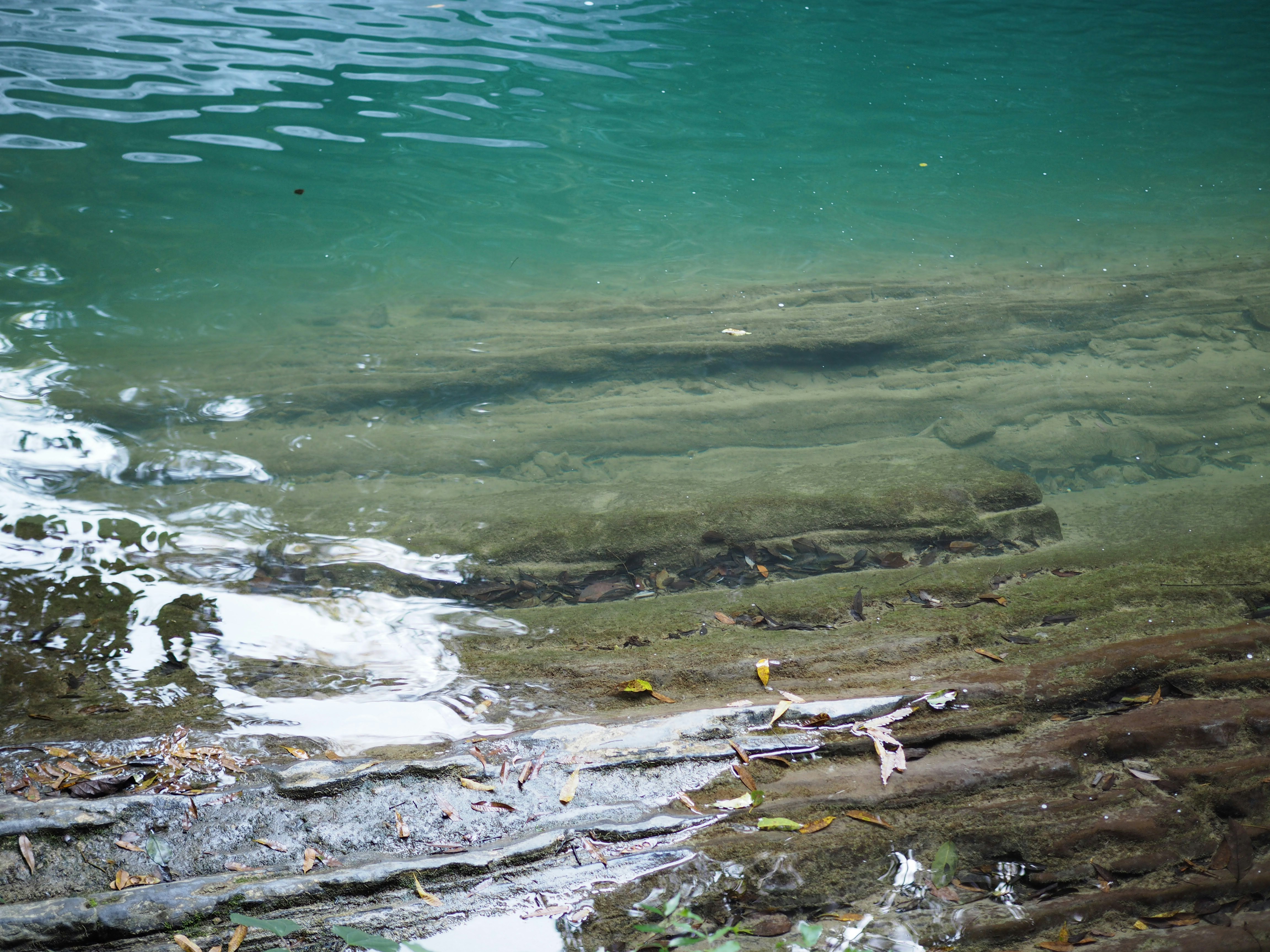 Lake Sediments: Nature's Filing System (image credits: unsplash)