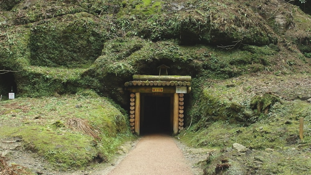 a tunnel in the side of a mountain covered in moss