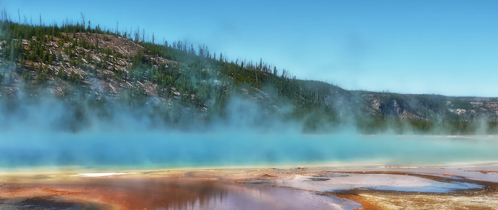 a large body of water surrounded by trees