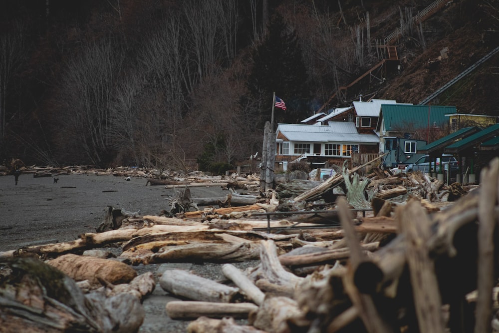 a bunch of driftwood sitting on the side of a road