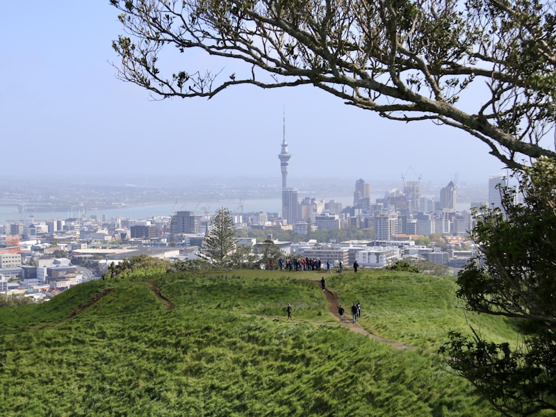 Study in New Zealand