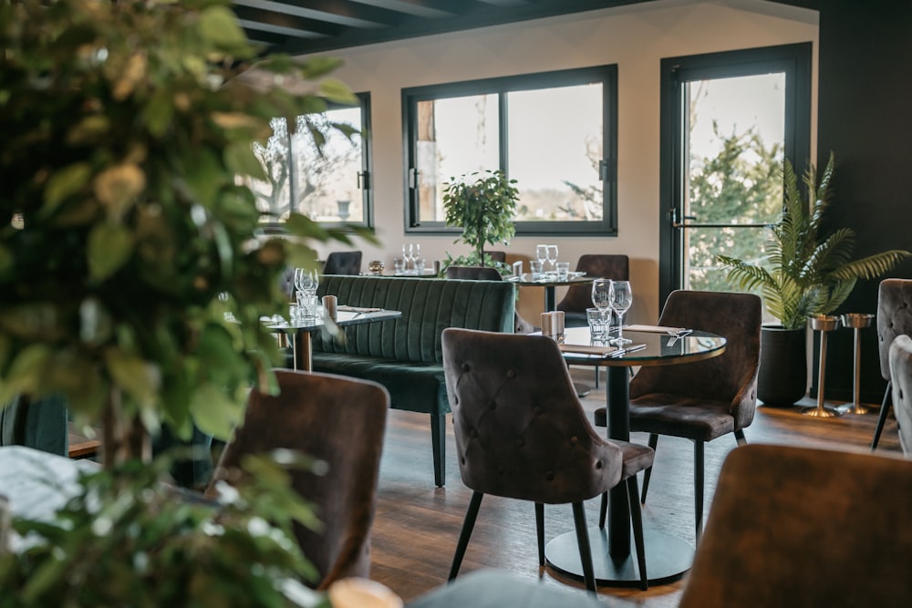 un restaurant avec des tables, des chaises et des plantes