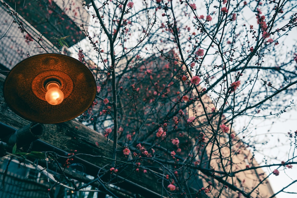 a street light with a tree in the background