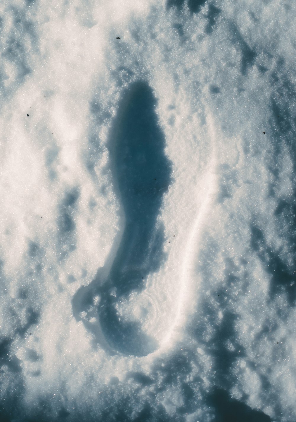 a picture of a foot print in the snow