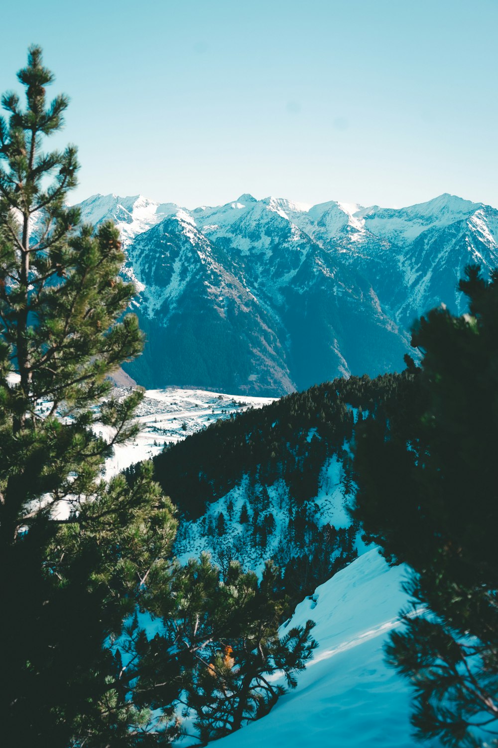 a view of a snowy mountain range with pine trees