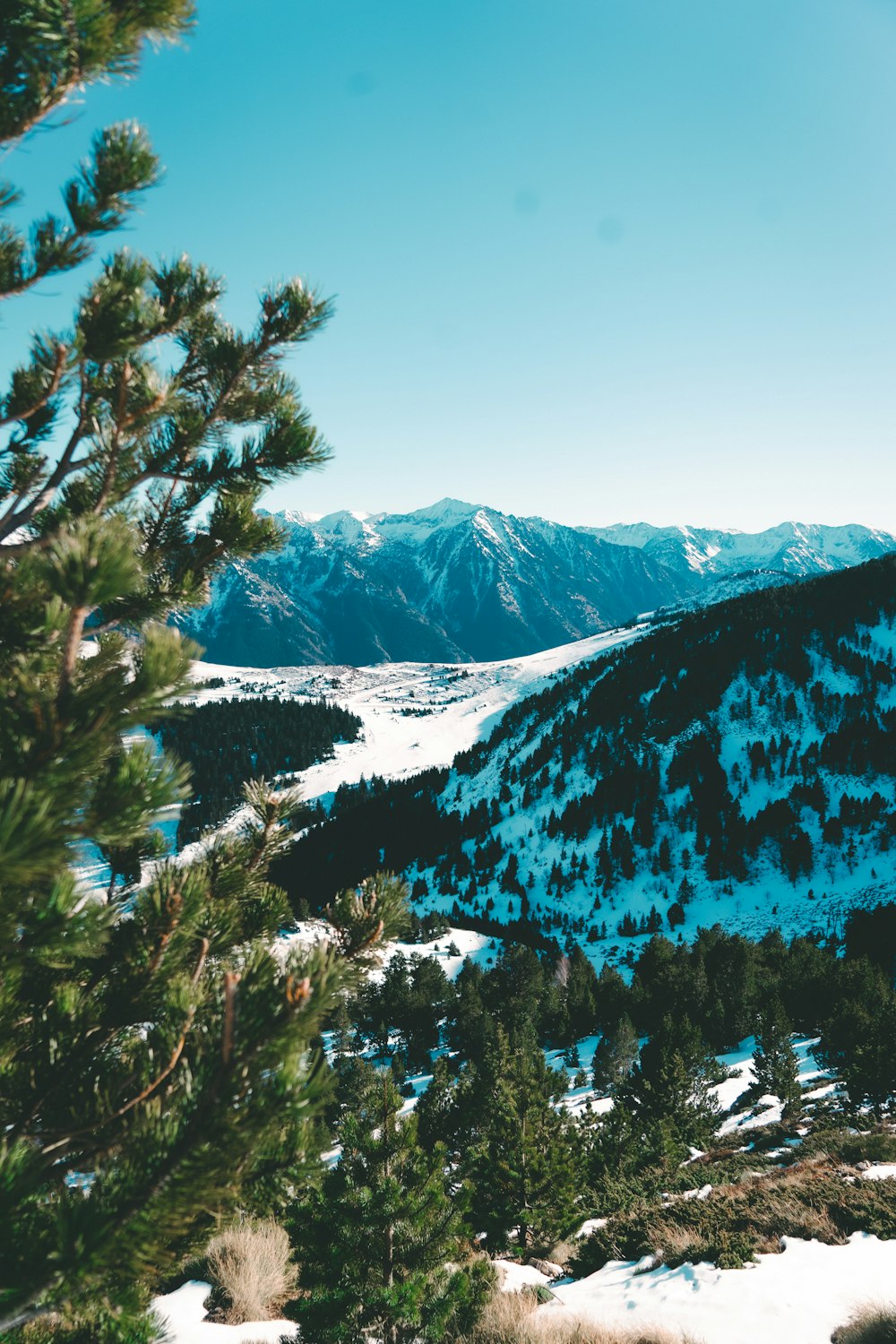 a view of a snowy mountain range from a distance