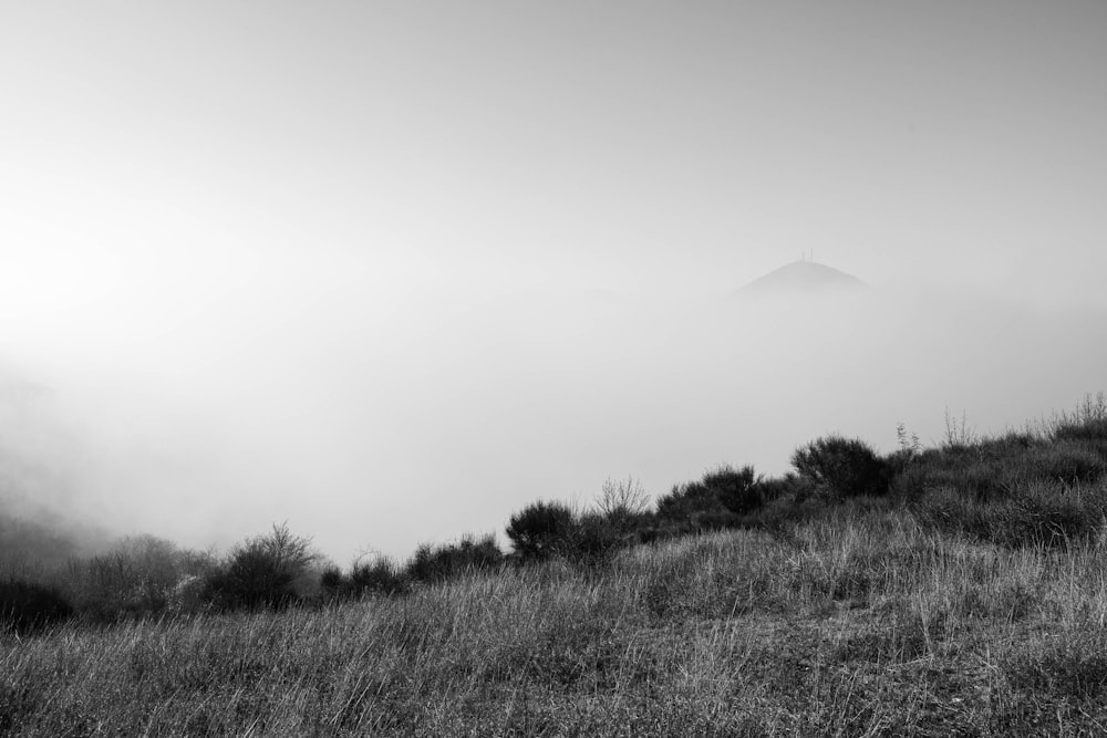 a black and white photo of a grassy hill