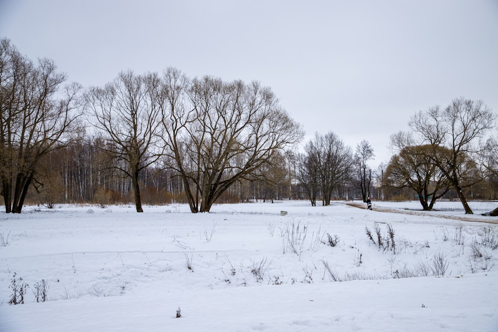 a snow covered field with trees in the background