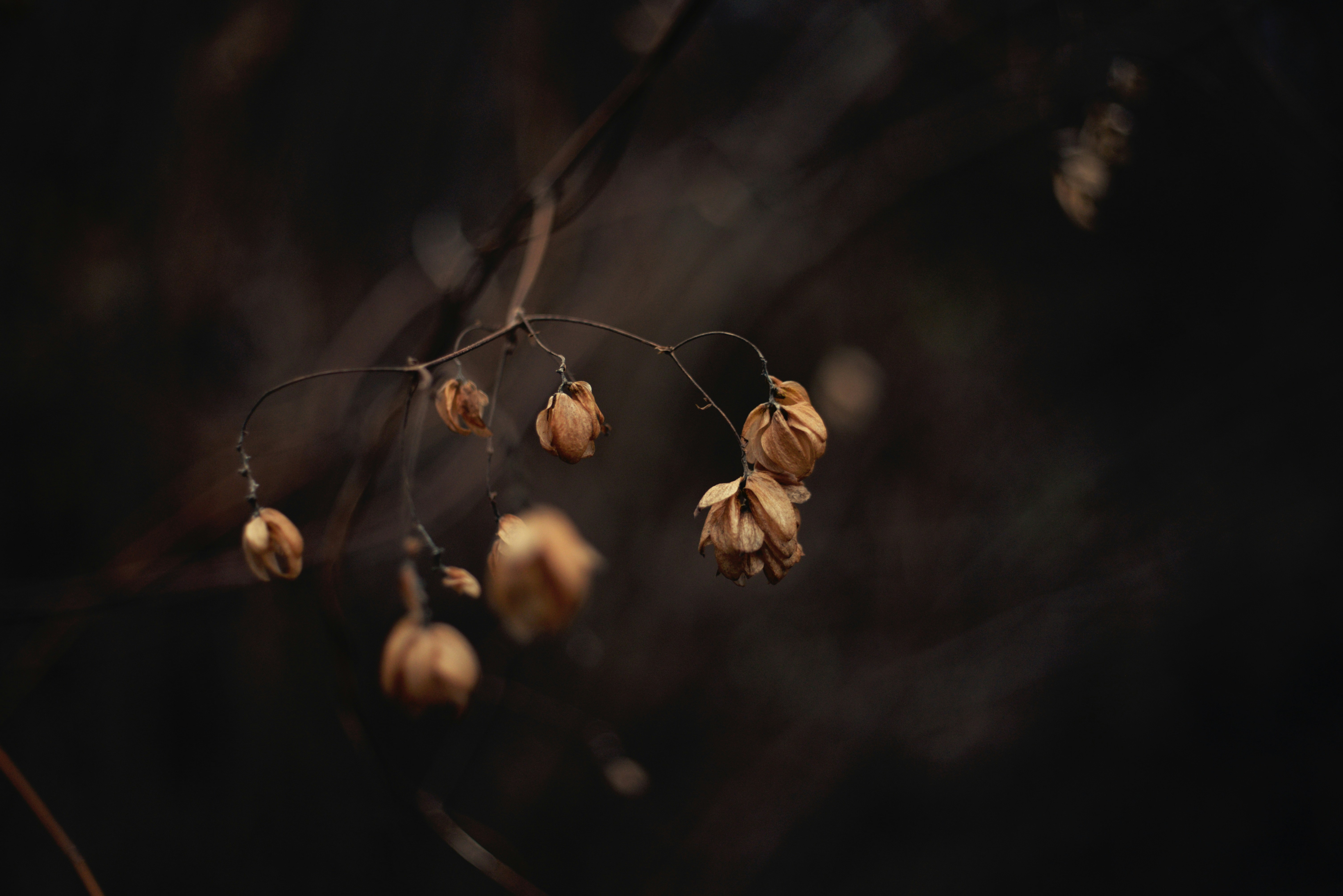 Photo by cherstve_pechivo