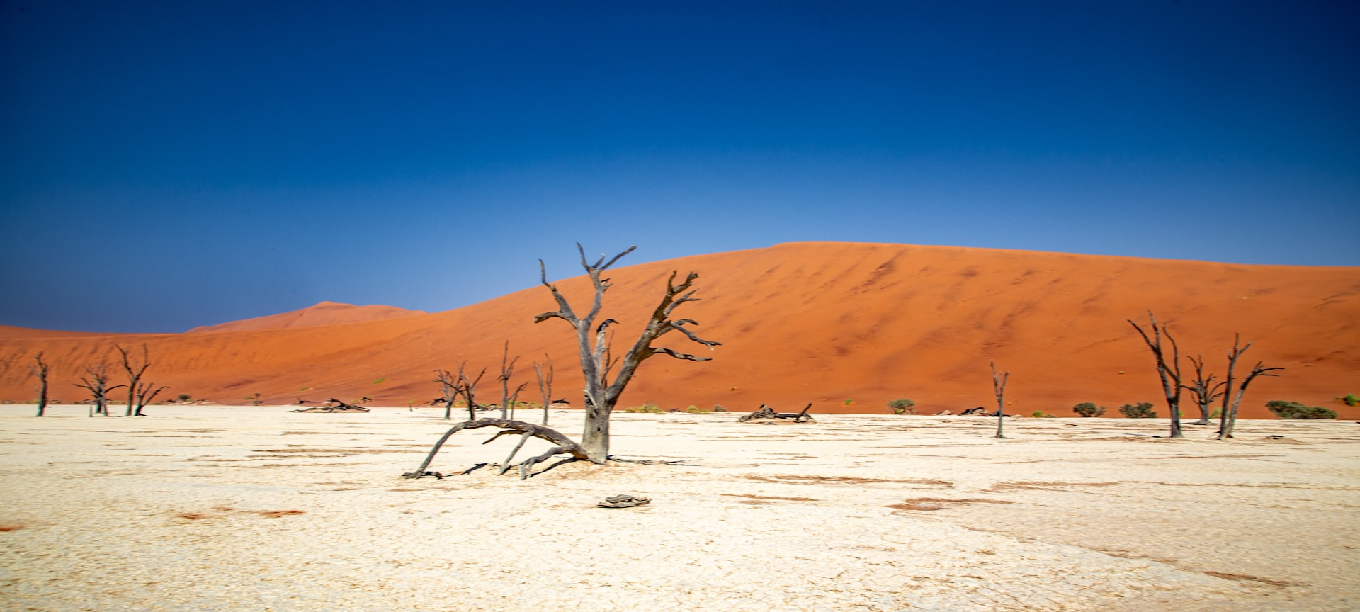 Namibia Highlights