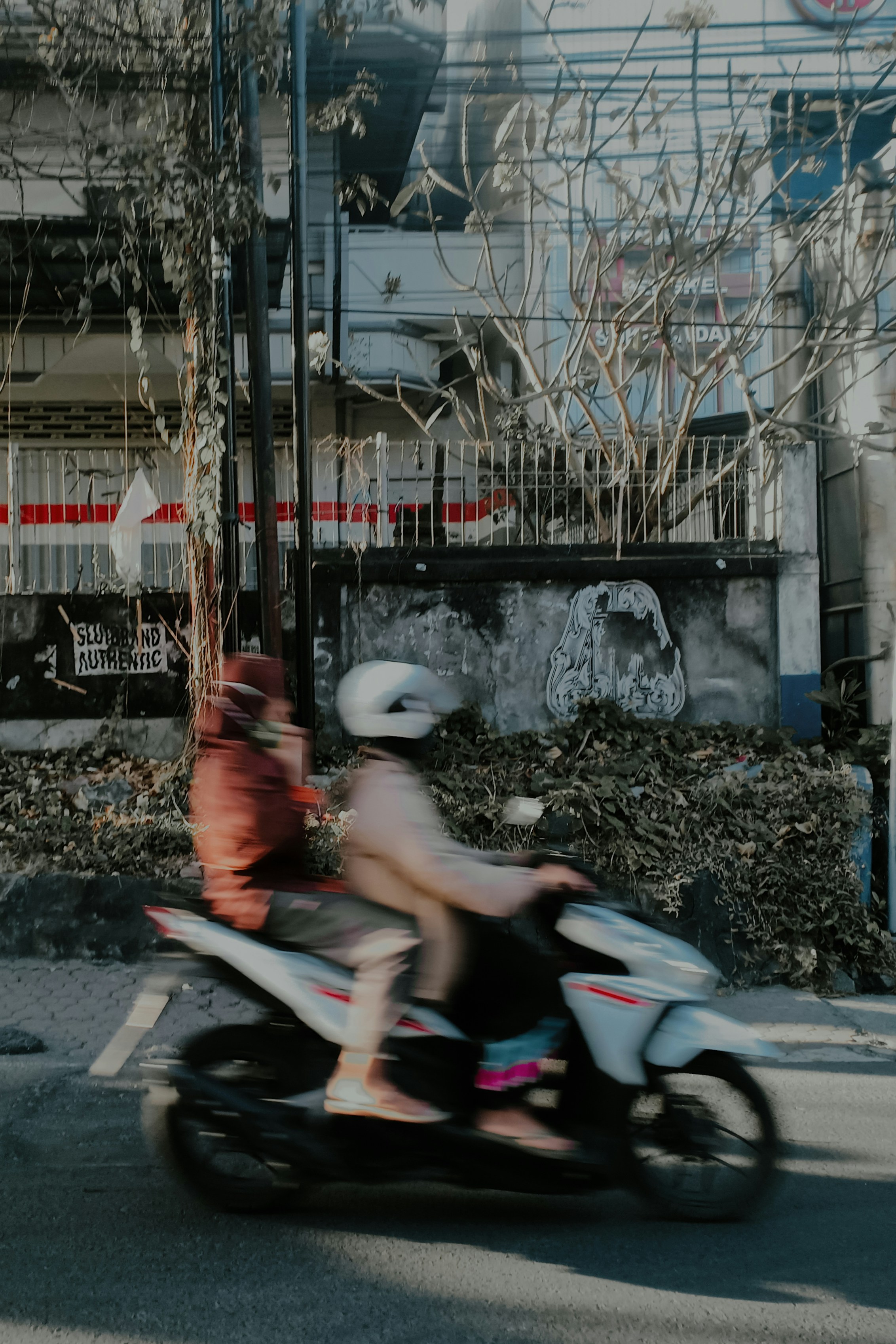 Photo by hybridnighthawk