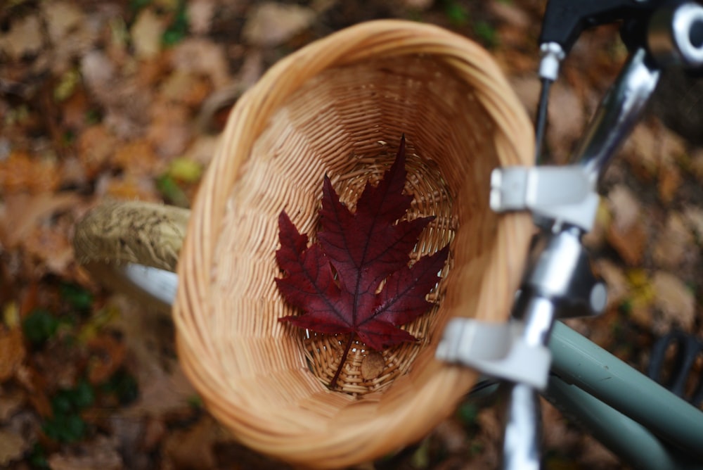 Una bicicleta con una hoja en la cesta