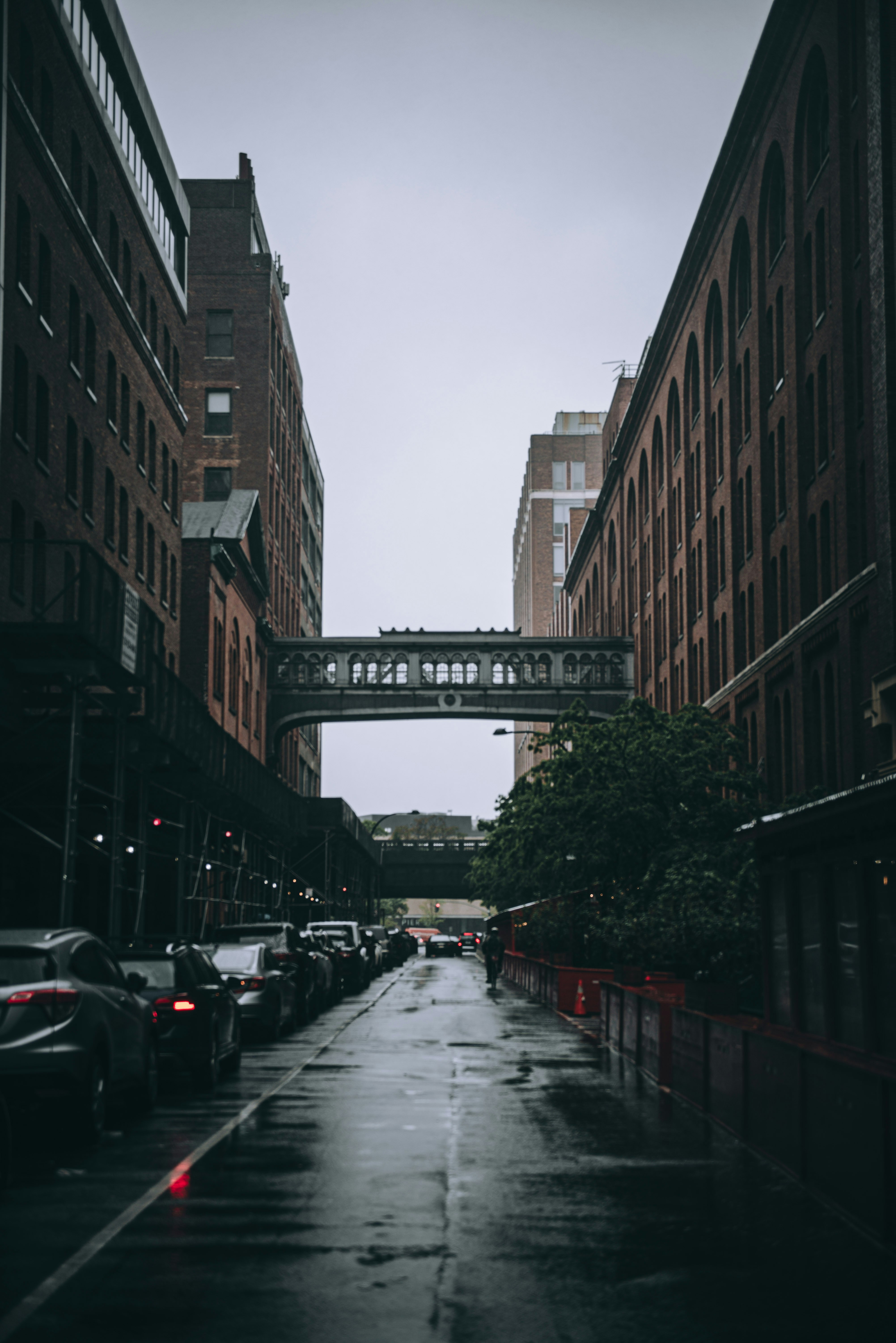 Photo by sadieicoulter