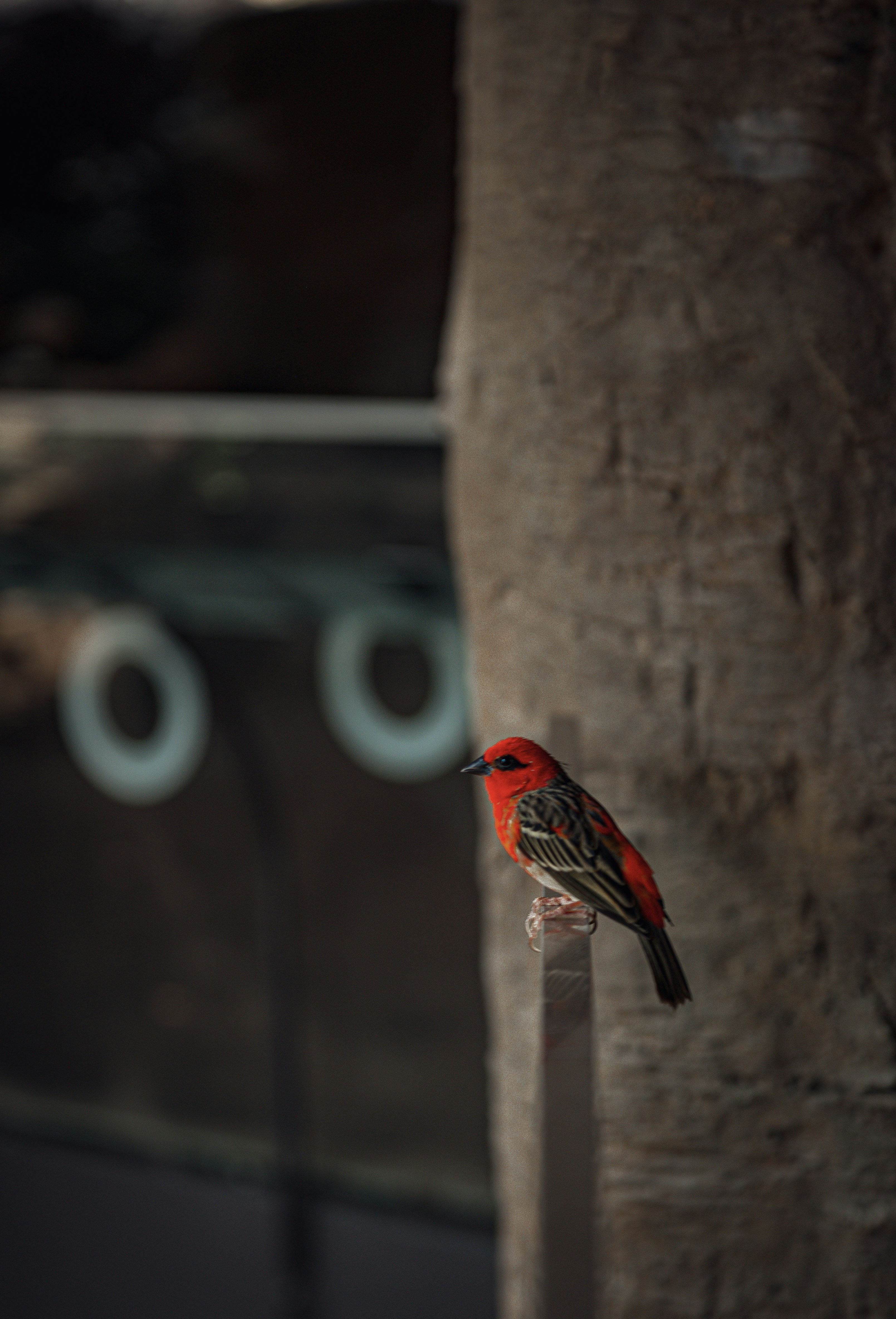 Photo by sadieicoulter