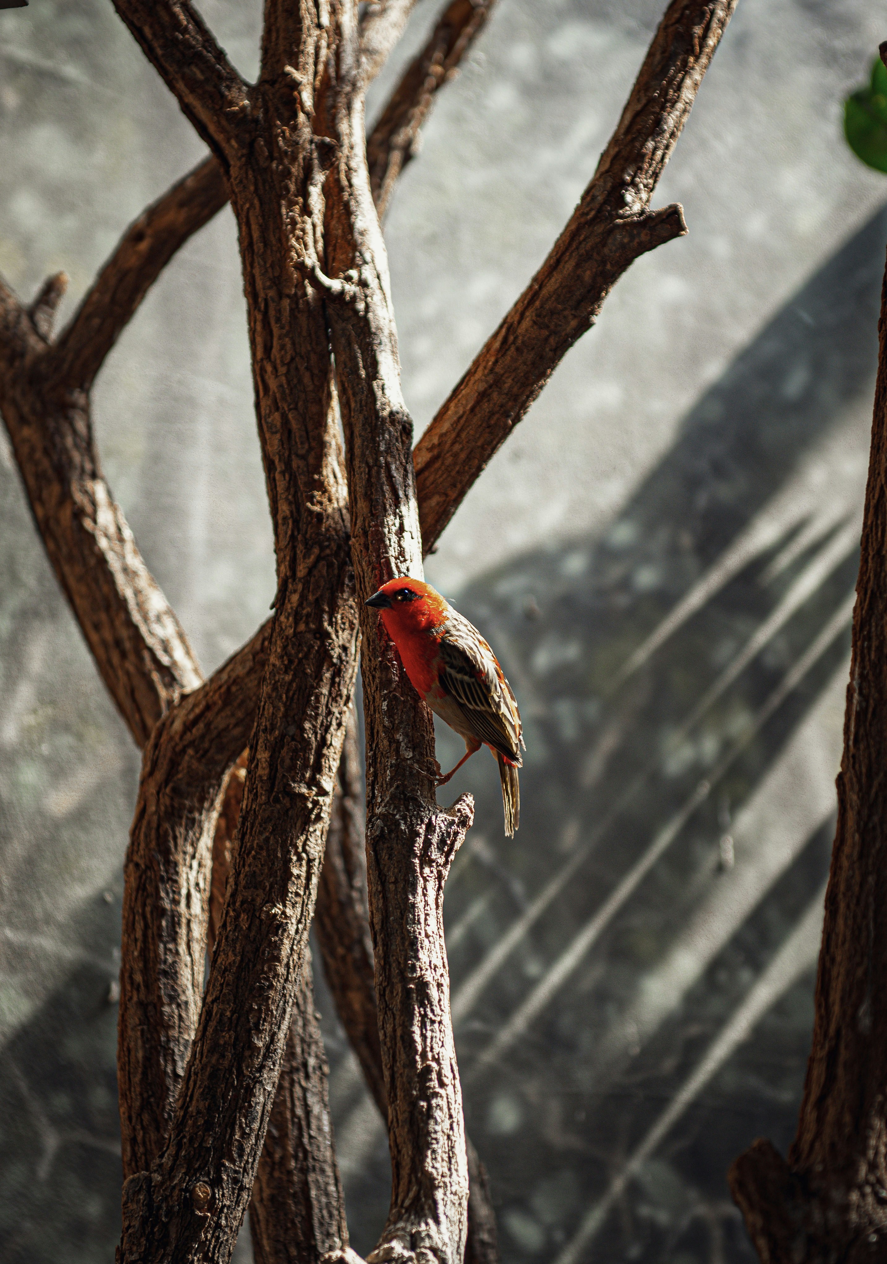 Photo by sadieicoulter