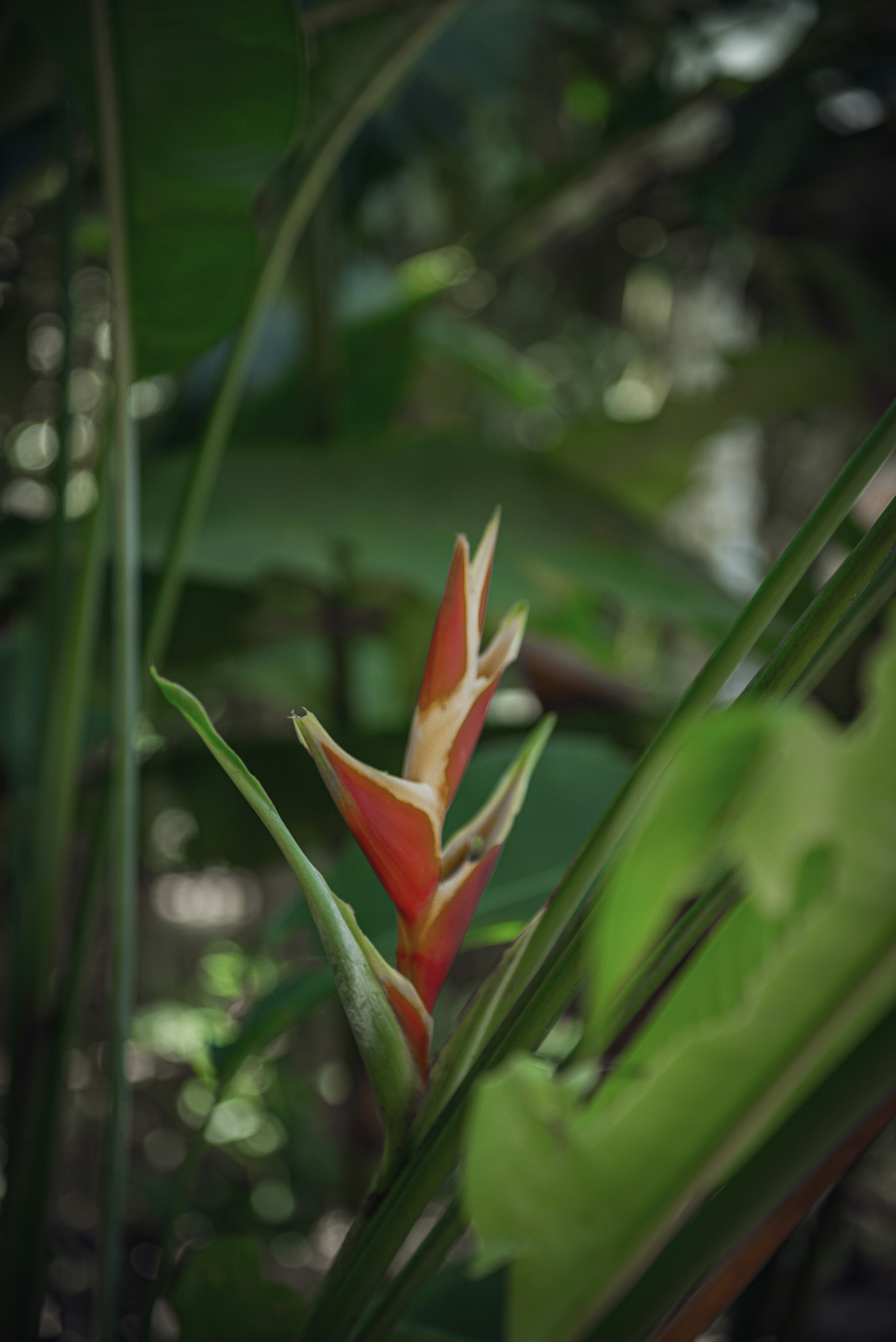 Photo by sadieicoulter