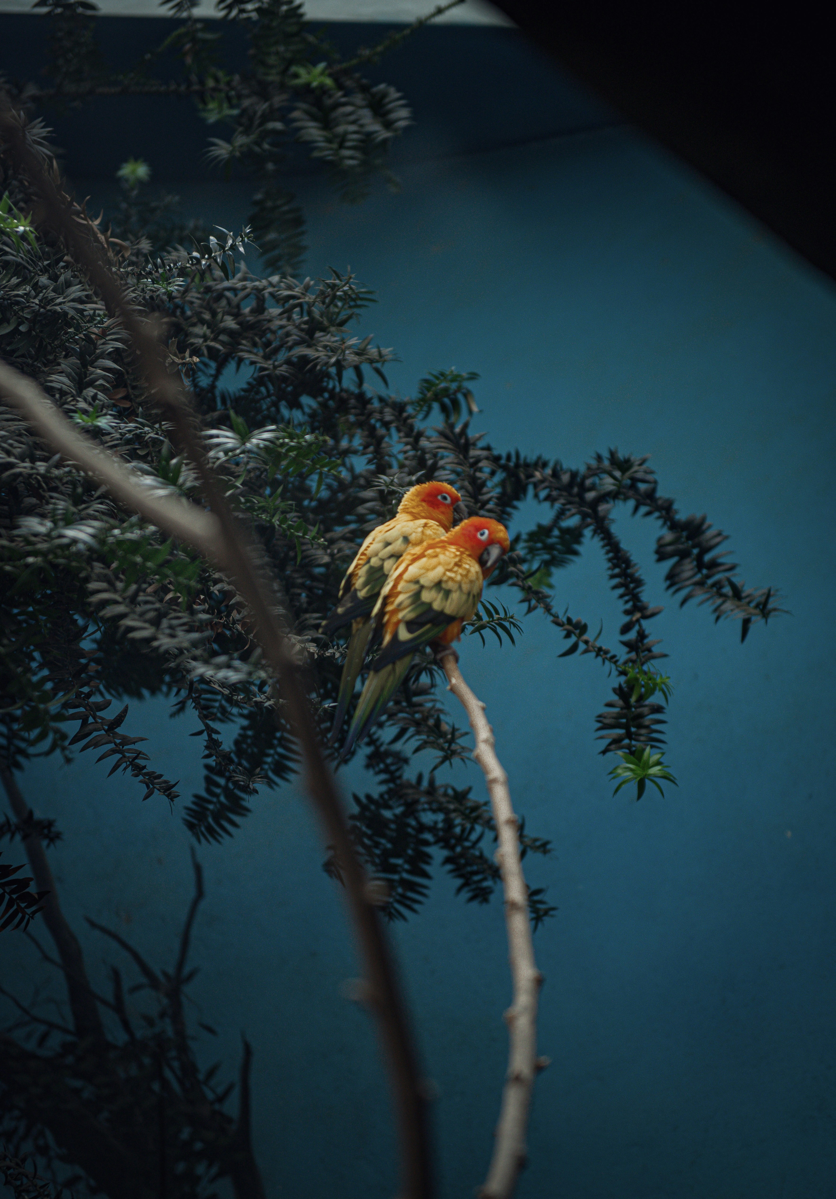 Photo by sadieicoulter