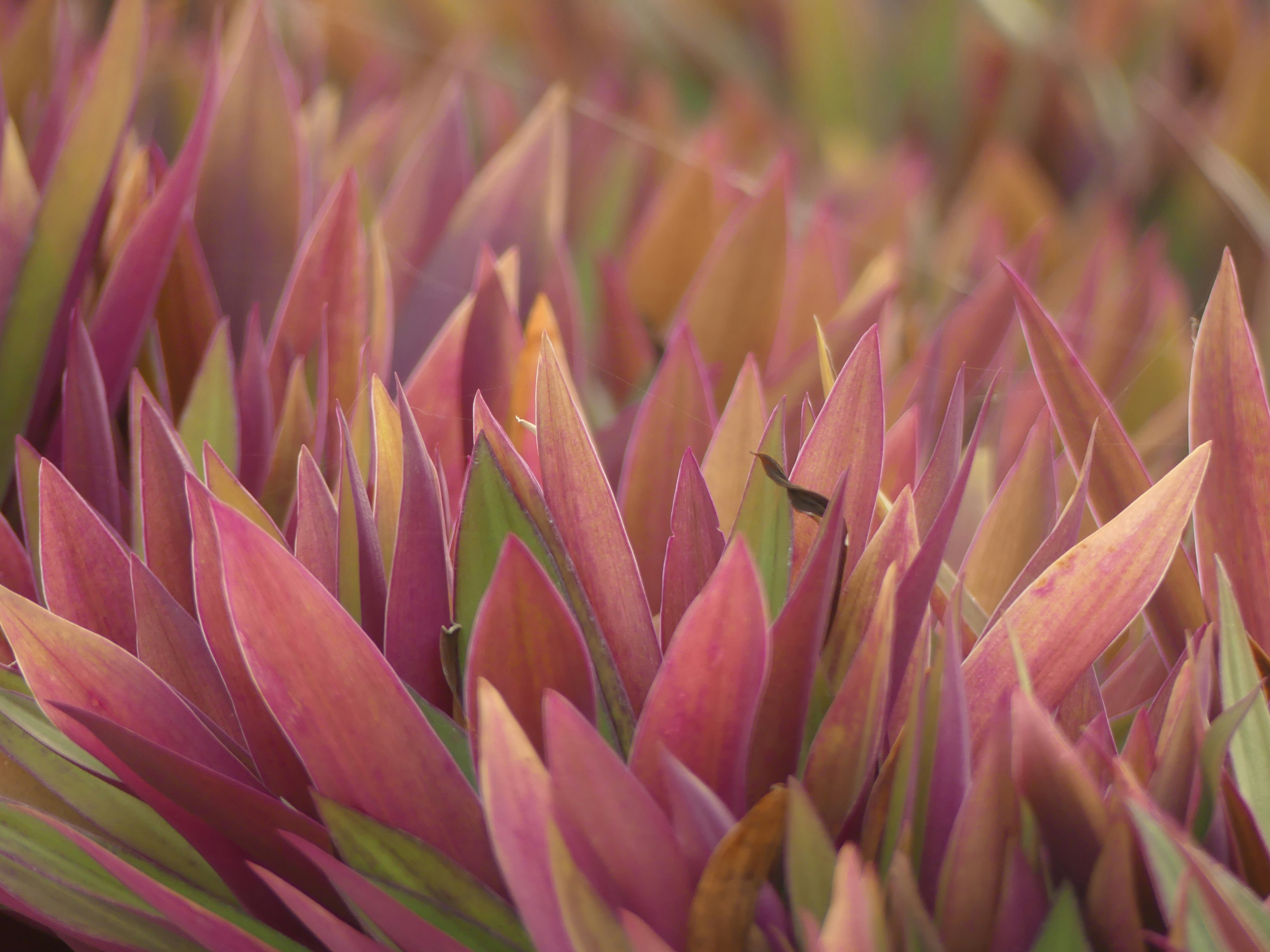 Photo by teagancross