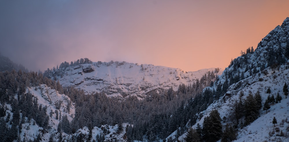 a mountain covered in snow and trees under a cloudy sky