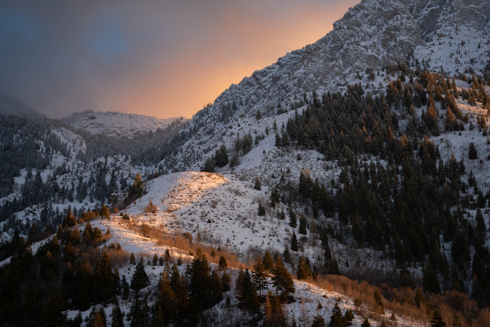 una montagna coperta di neve e alberi sotto un cielo nuvoloso