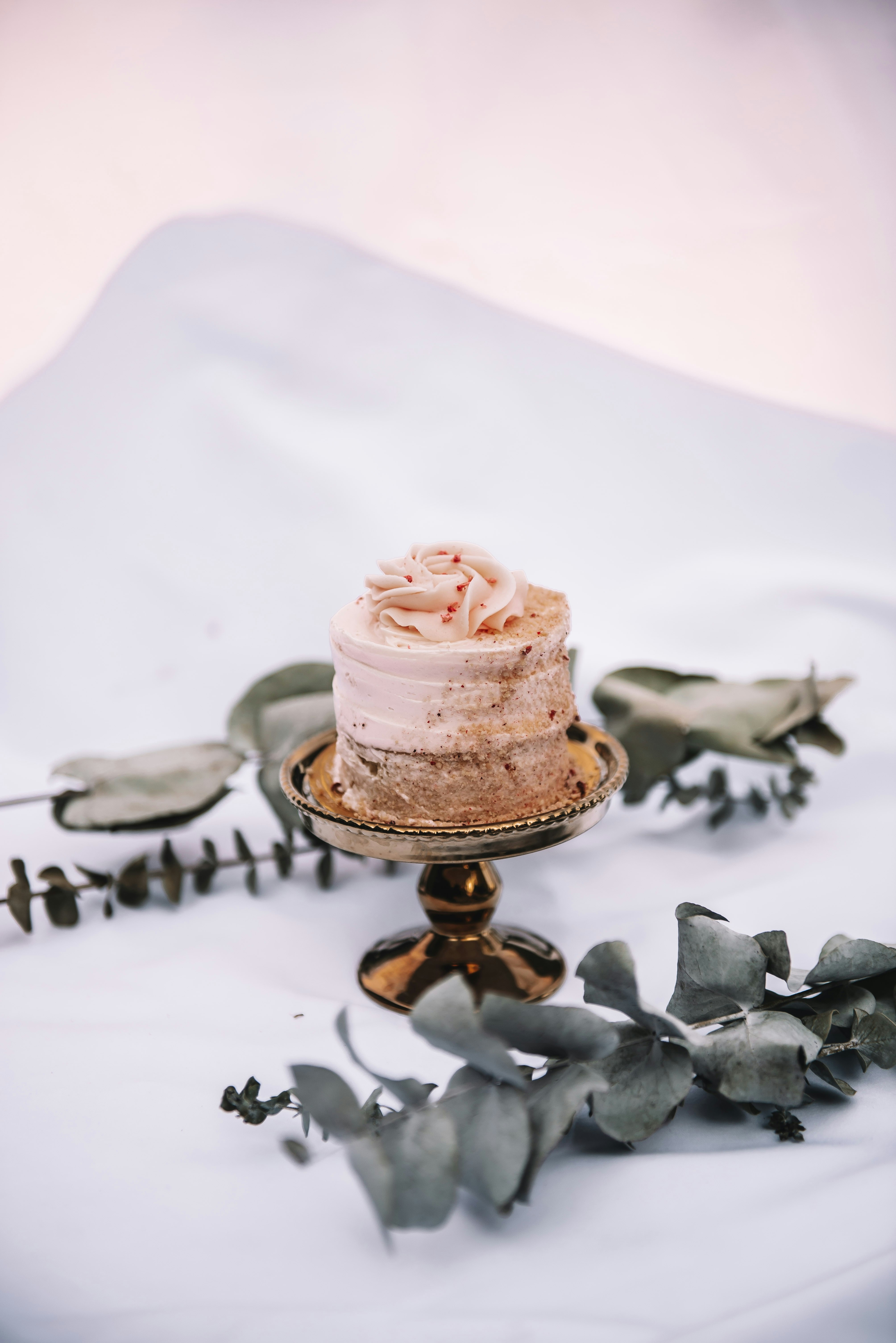 Photo by sadieicoulter