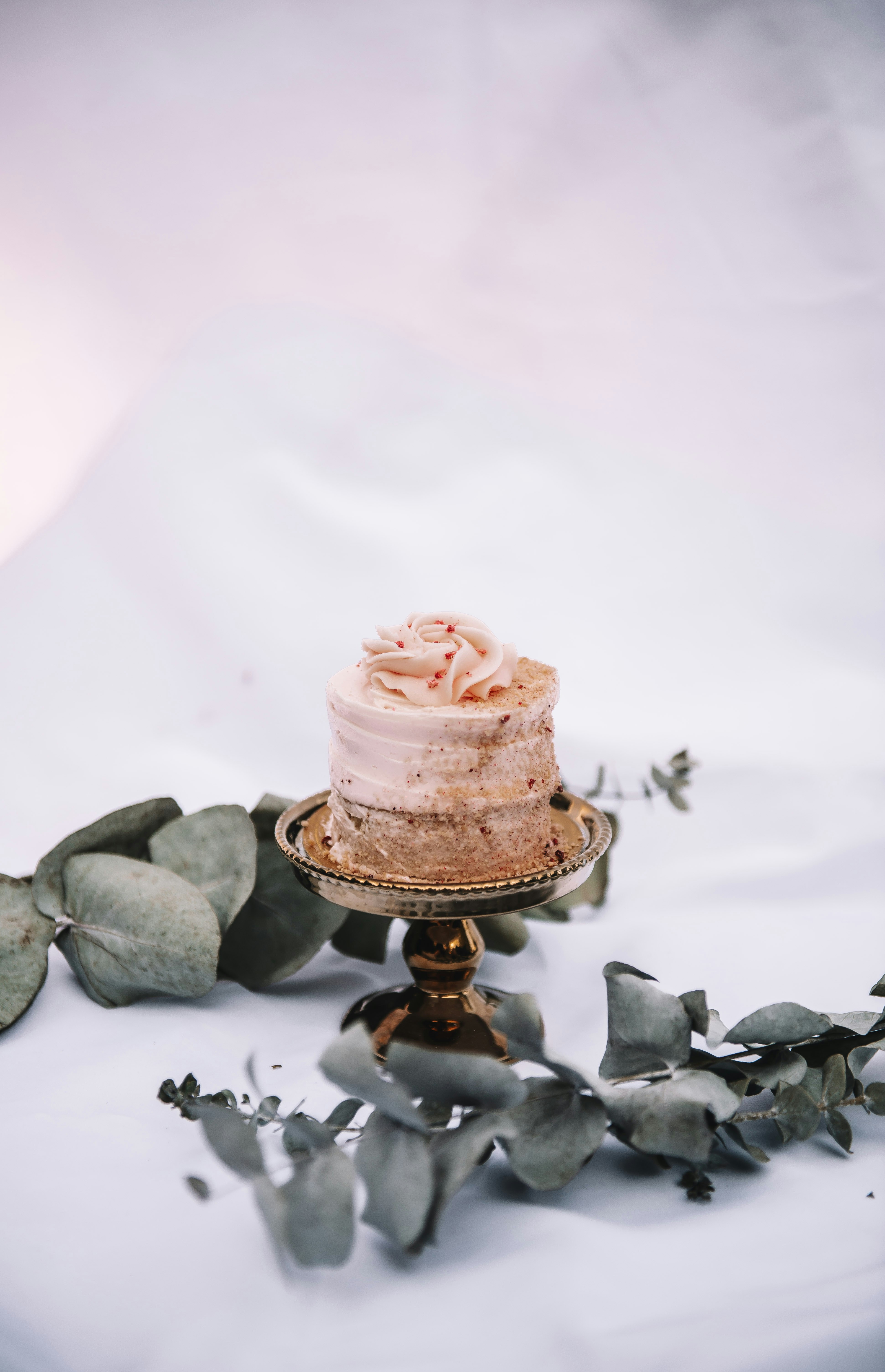 Photo by sadieicoulter