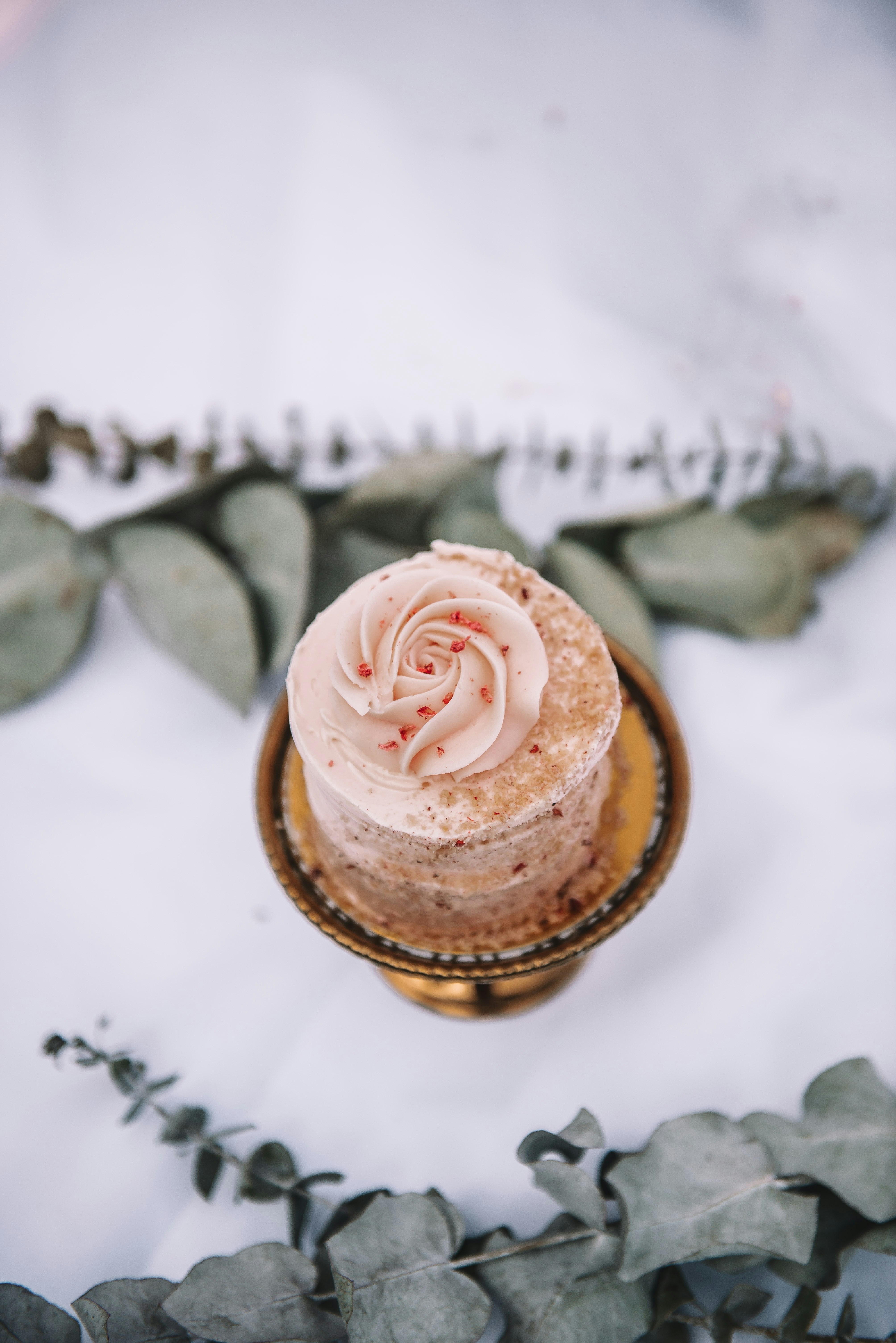 Photo by sadieicoulter